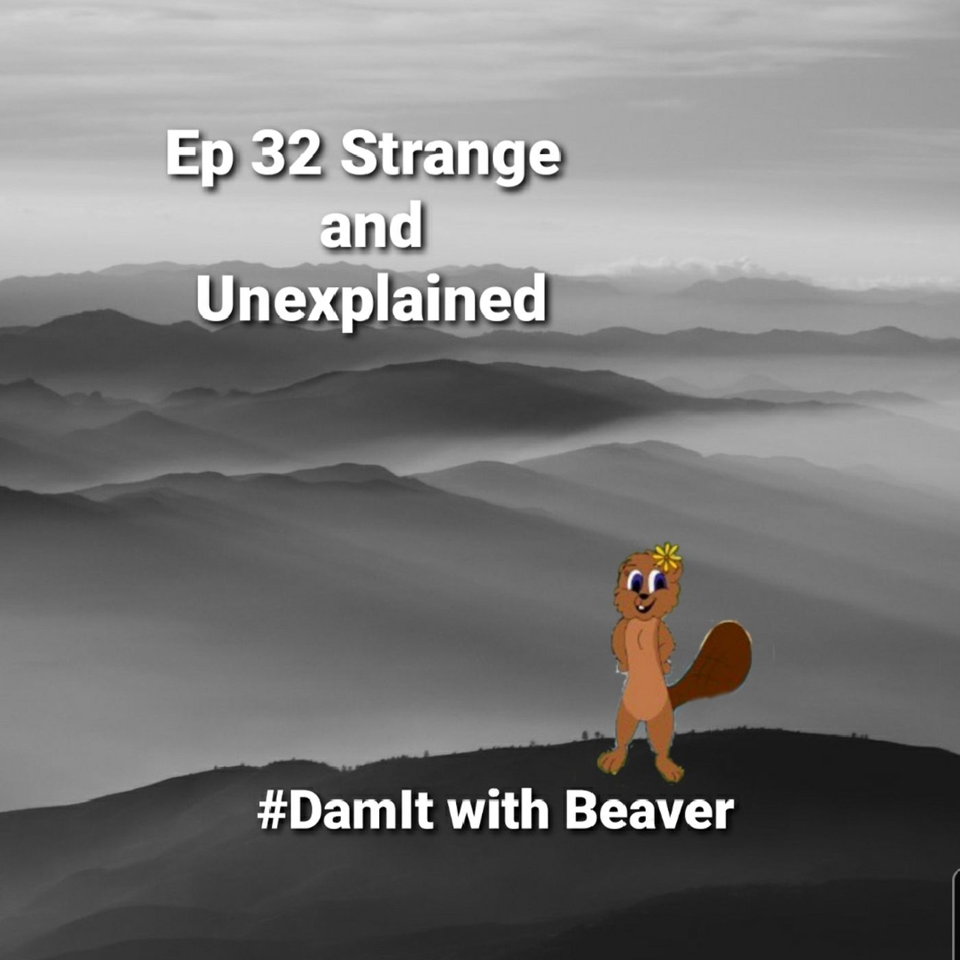 Damit With Beaver
