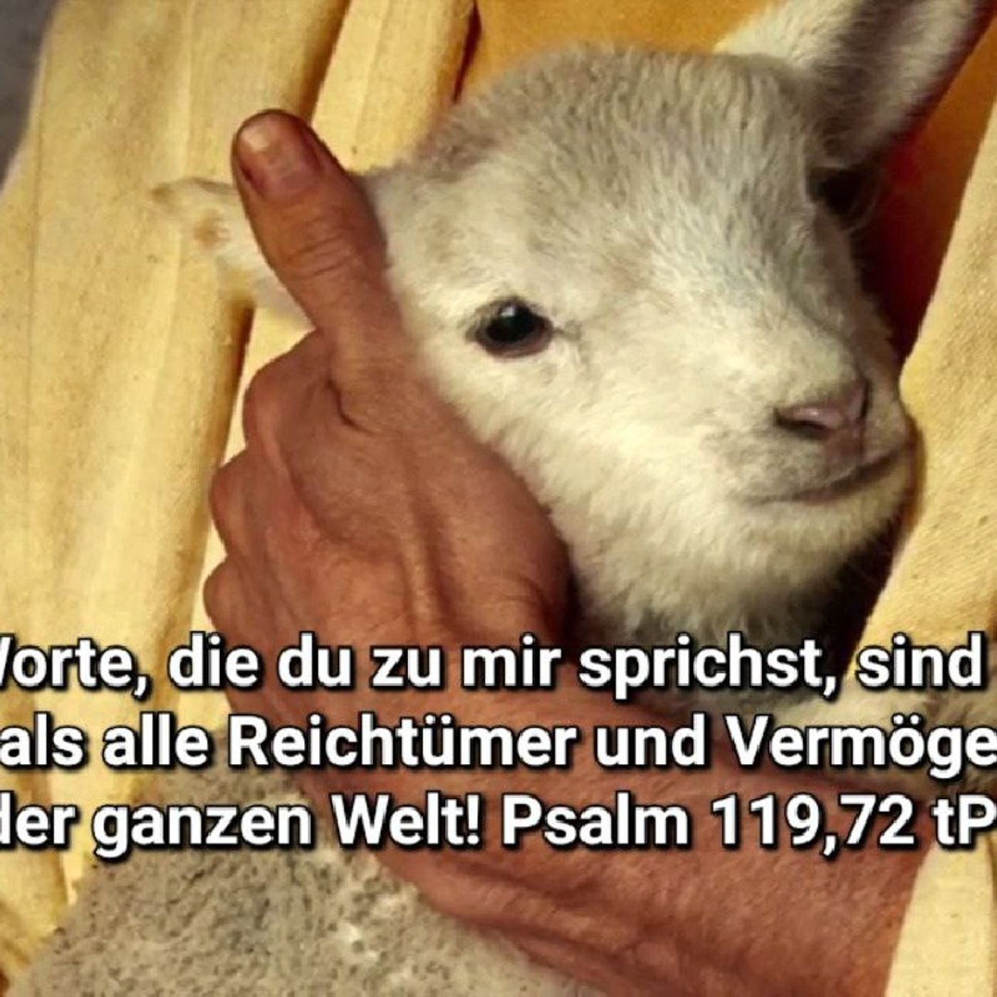 Kathleen_InChrist\'s New Life