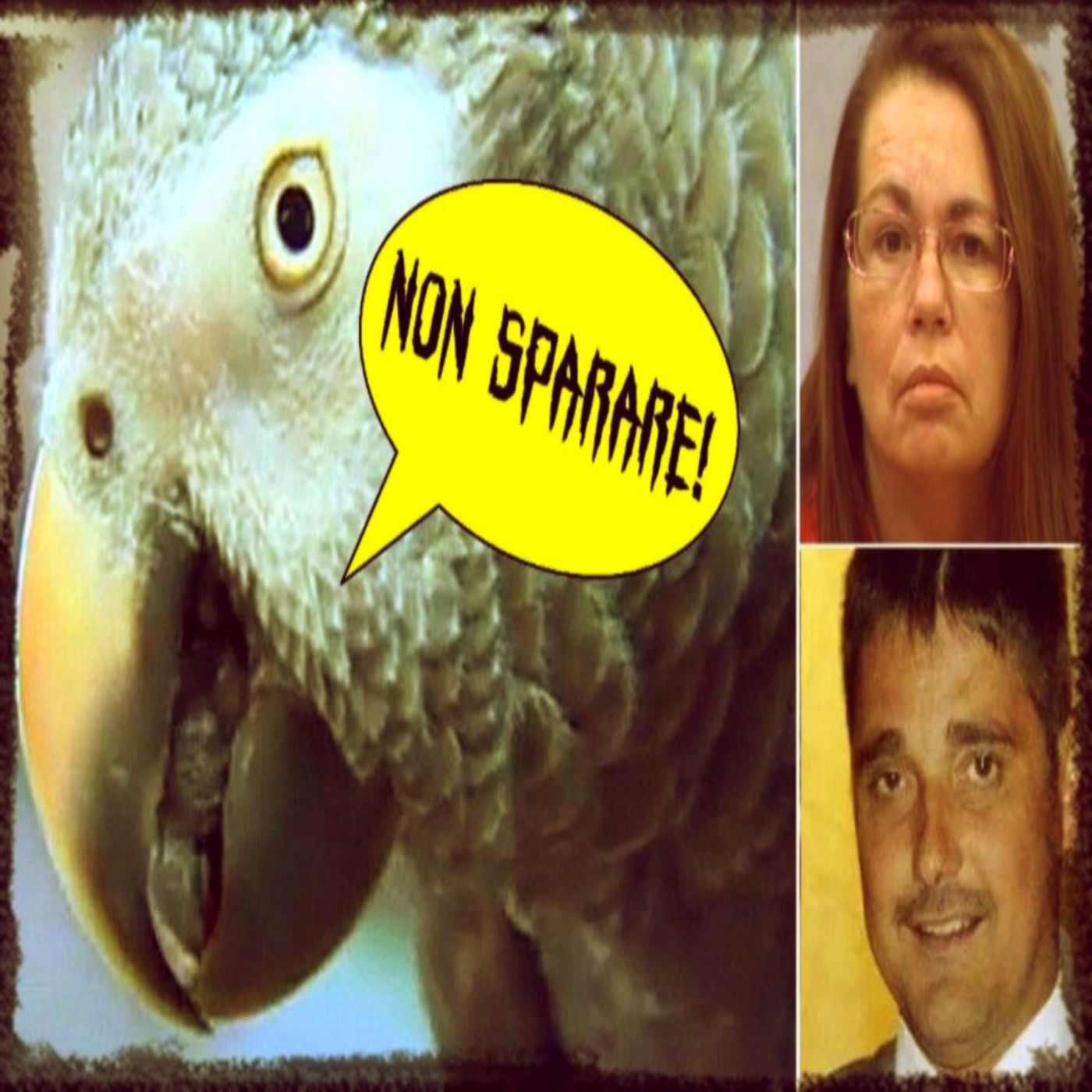 UNICO TESTIMONE: UN PAPPAGALLO PARLANTE - Glenna Duram (Lo Strano Canale Podcast) episode artwork