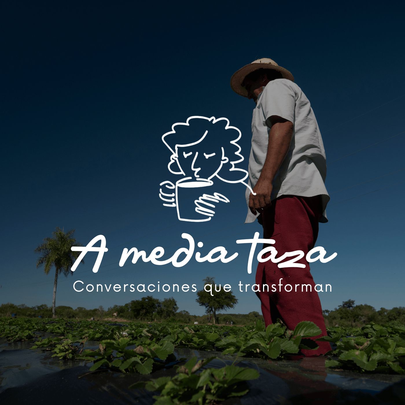 Portada de A Media Taza