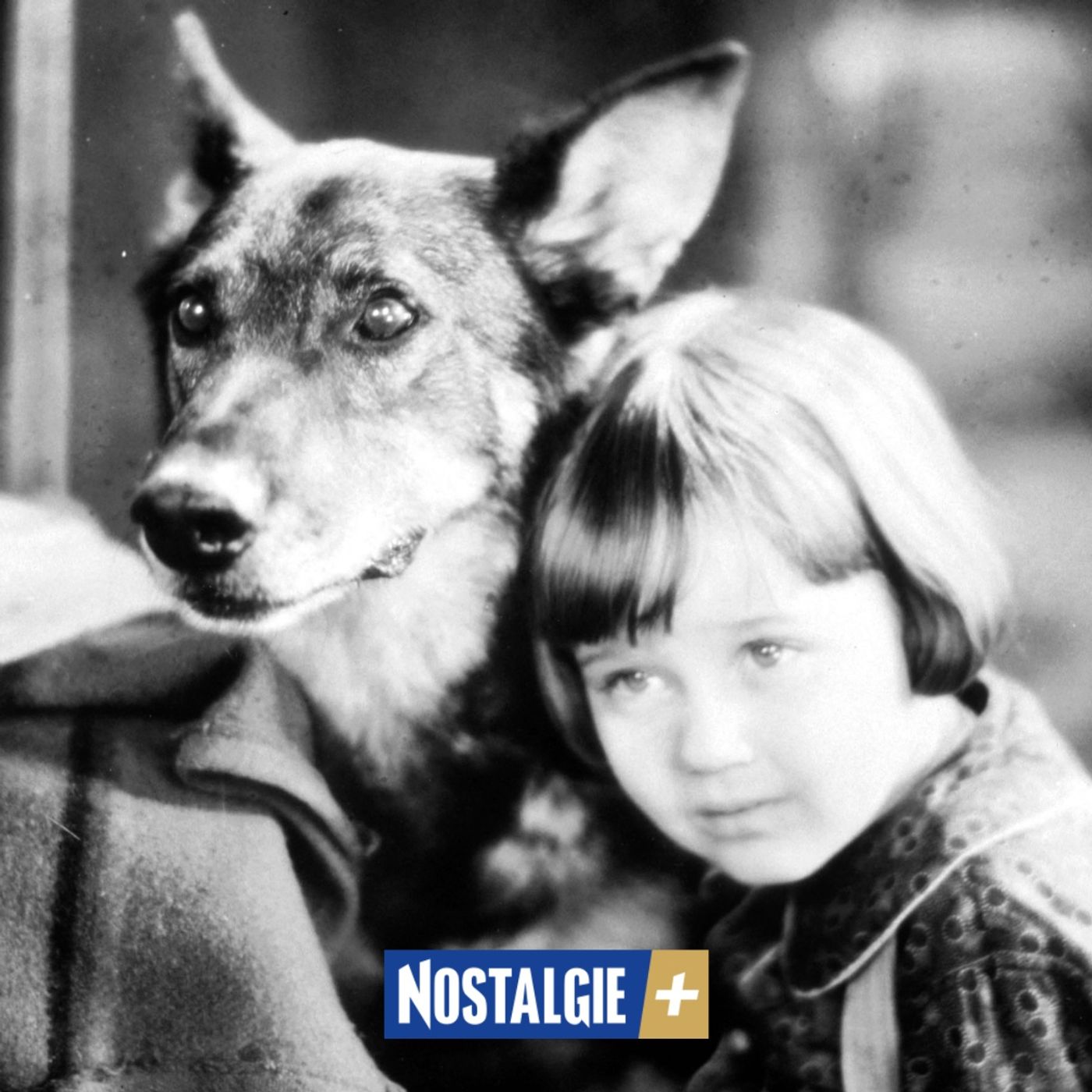 Rintintin : le chien héros qui a marqué des générations episode artwork