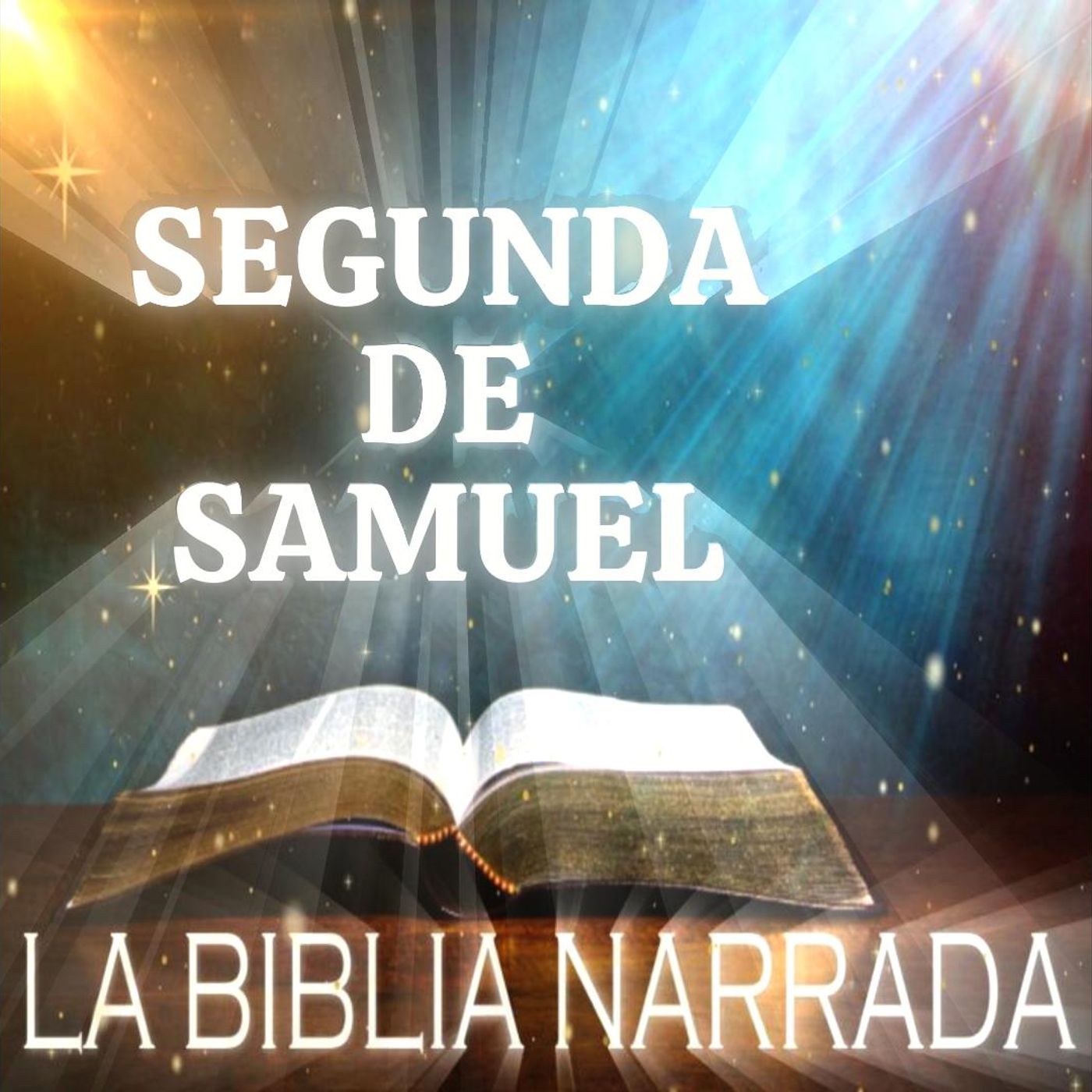 Segunda De Samuel Completo - Nueva Versión Internacional episode artwork