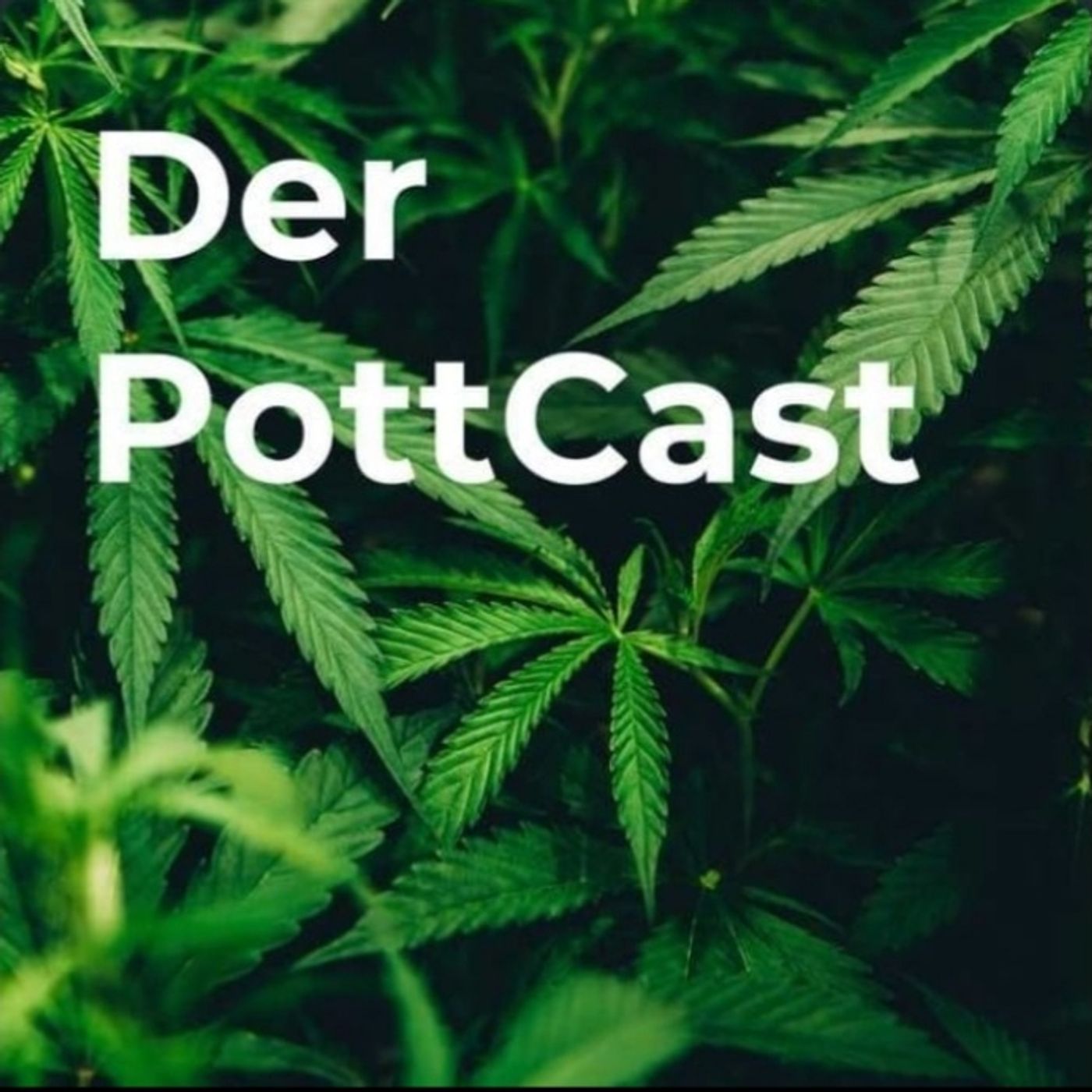 Der PottCast podcast artwork