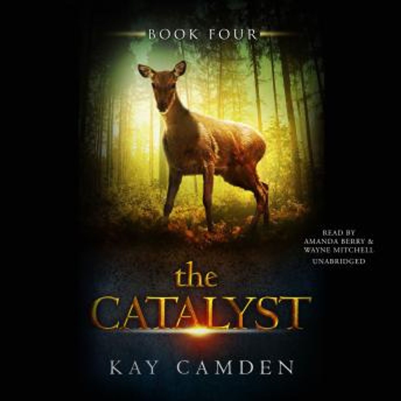 The Catalyst by Kay Camden episode artwork