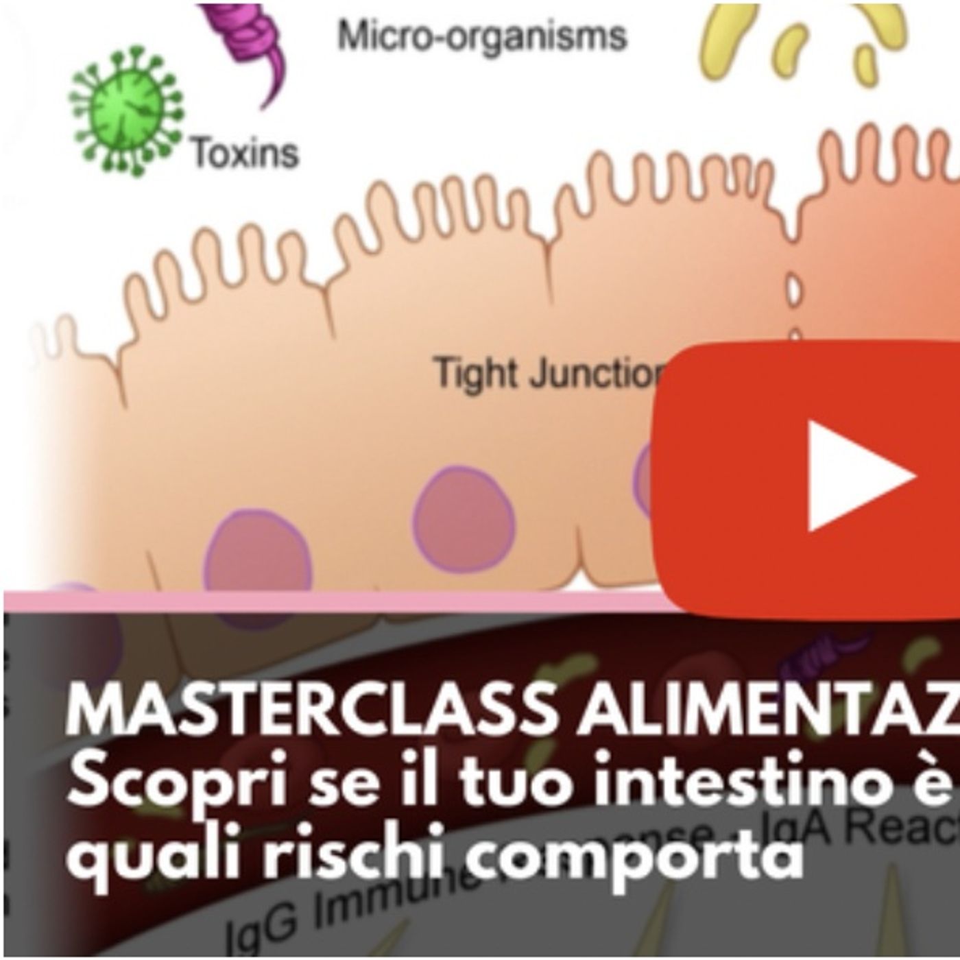 Alimentazione e Ciclismo #2 episode artwork