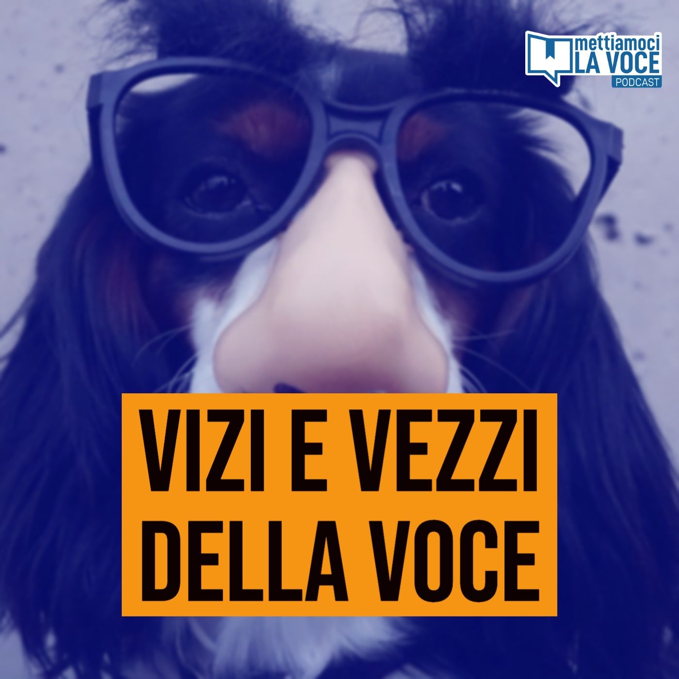 192 - Vizi e vezzi della voce