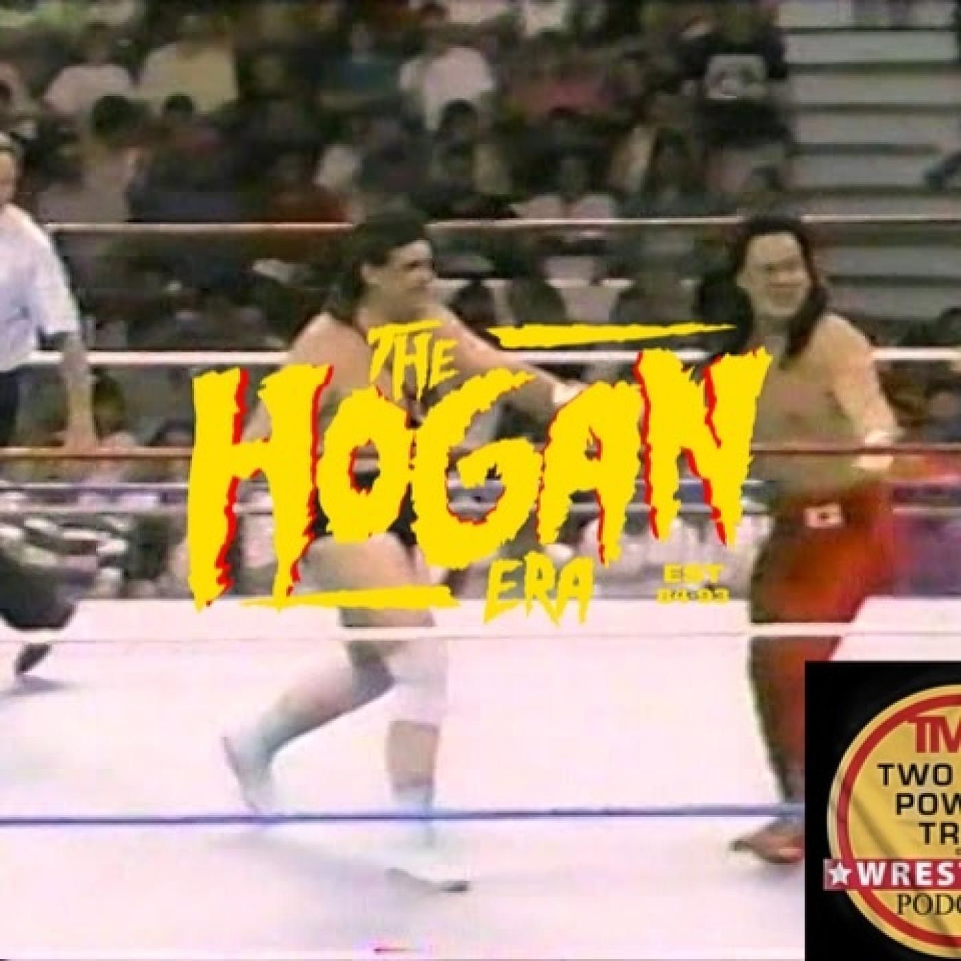 The Hogan Era - George Skaaland episode artwork