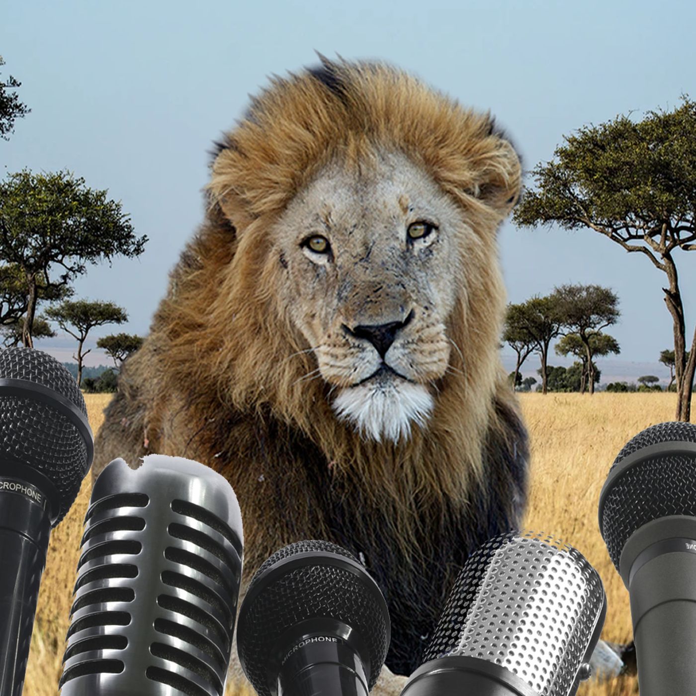 Warriorwales Stories He LIkes