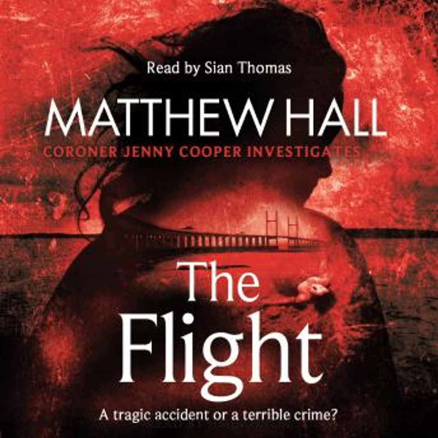 The Flight by Matthew Hall episode artwork