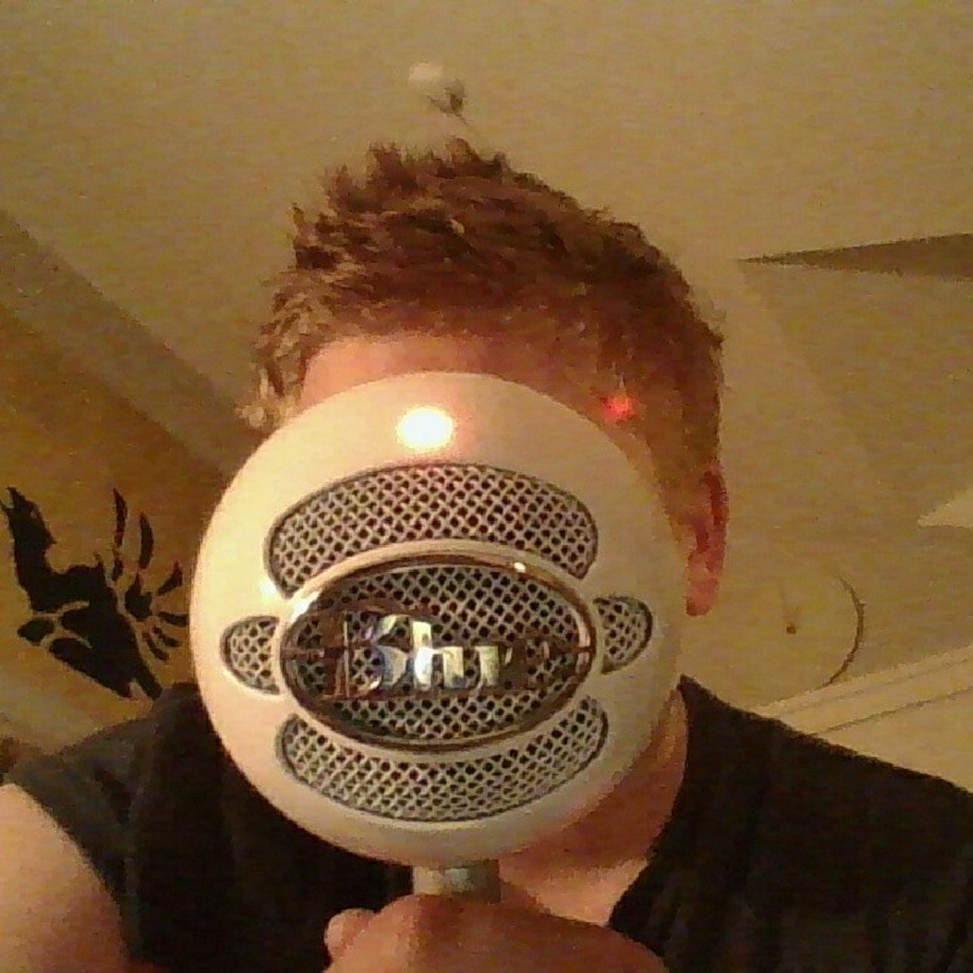 Got a New Mic