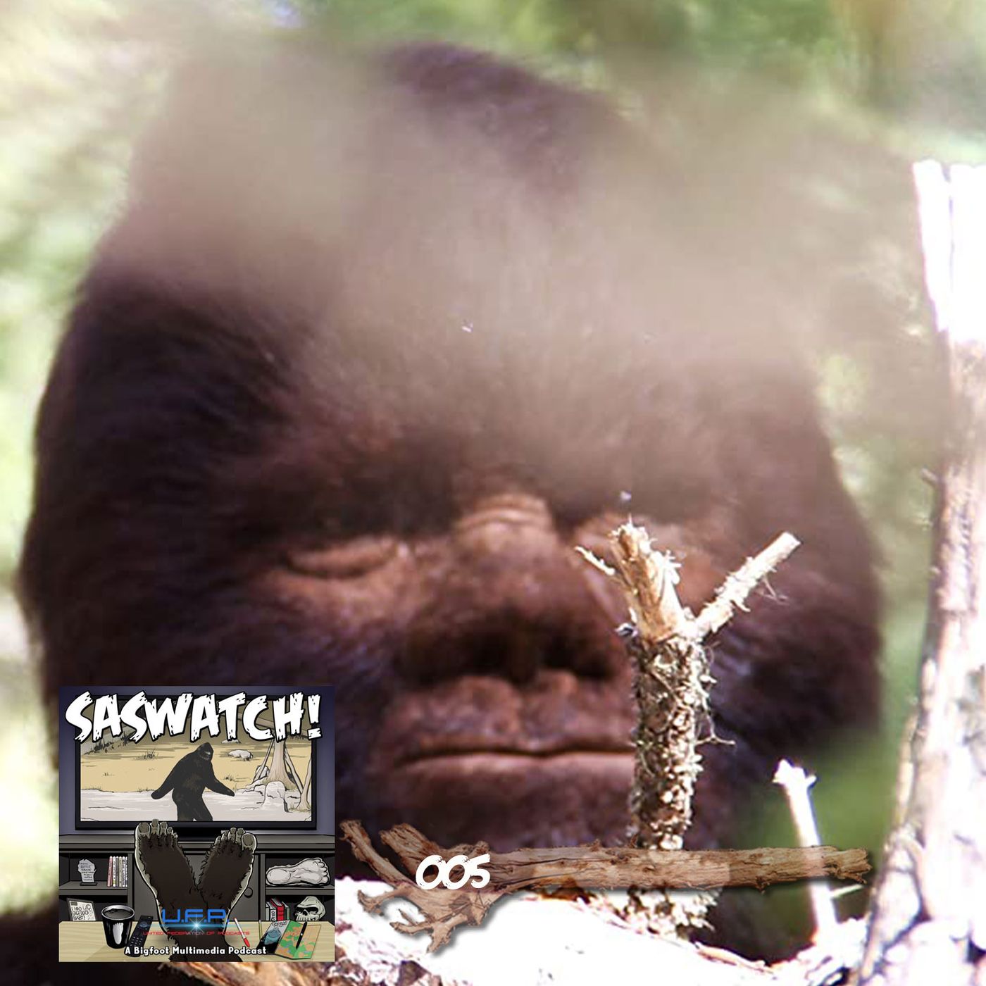 SW: 005: Discovering Bigfoot