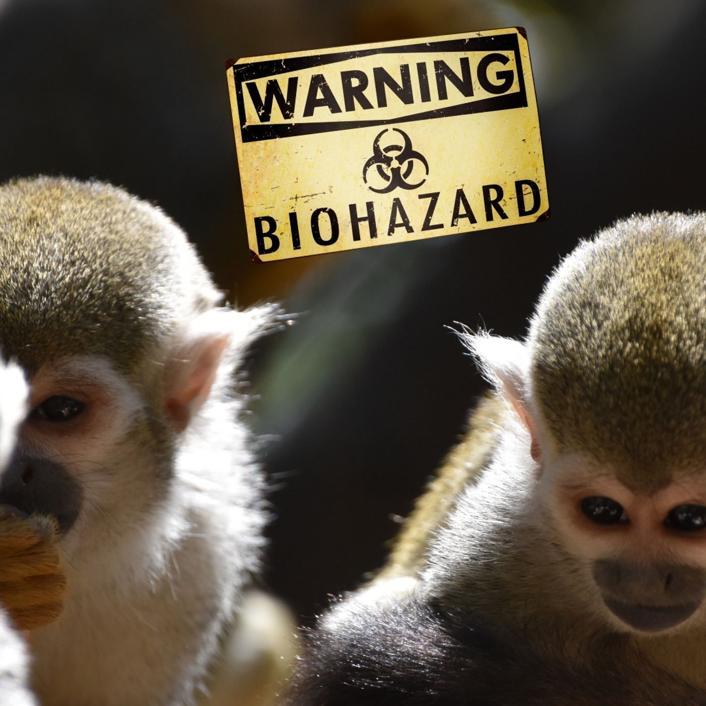 Special Report: Witness Becomes Sick After Truck Carrying Lab Monkeys Crashes