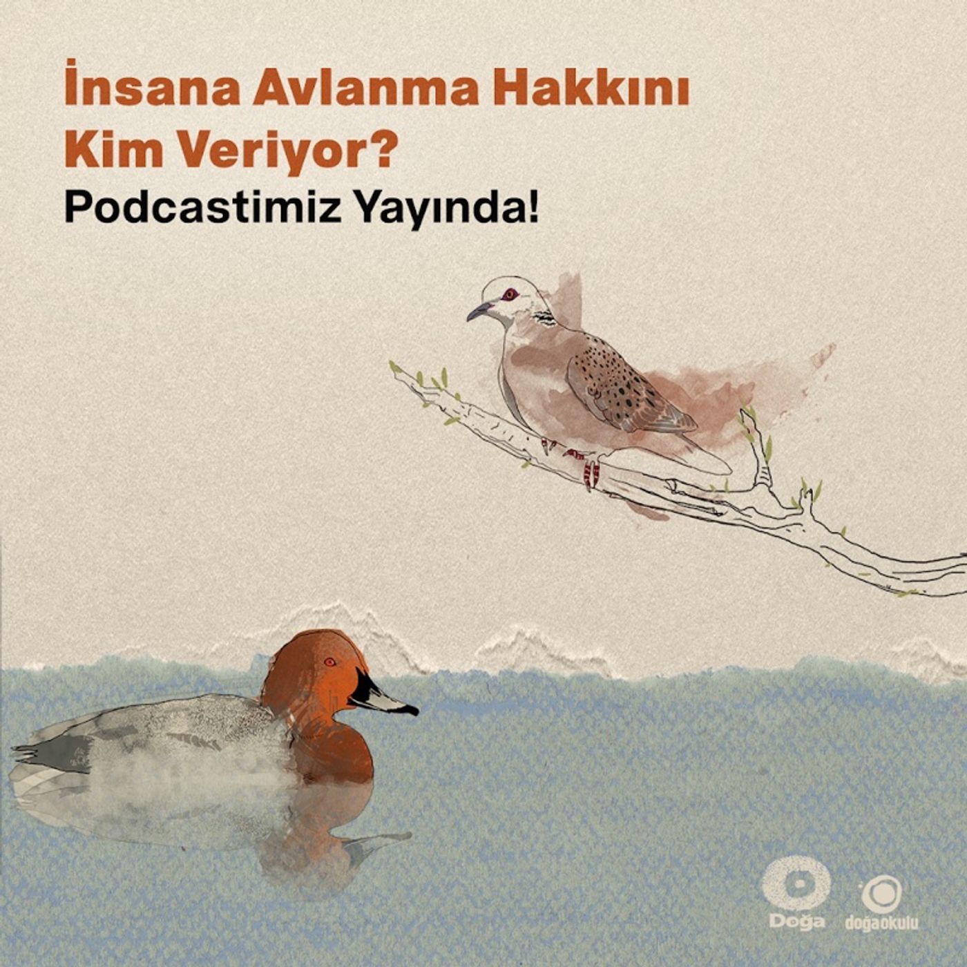 İnsana Avlanma Hakkını Kim Veriyor? episode artwork