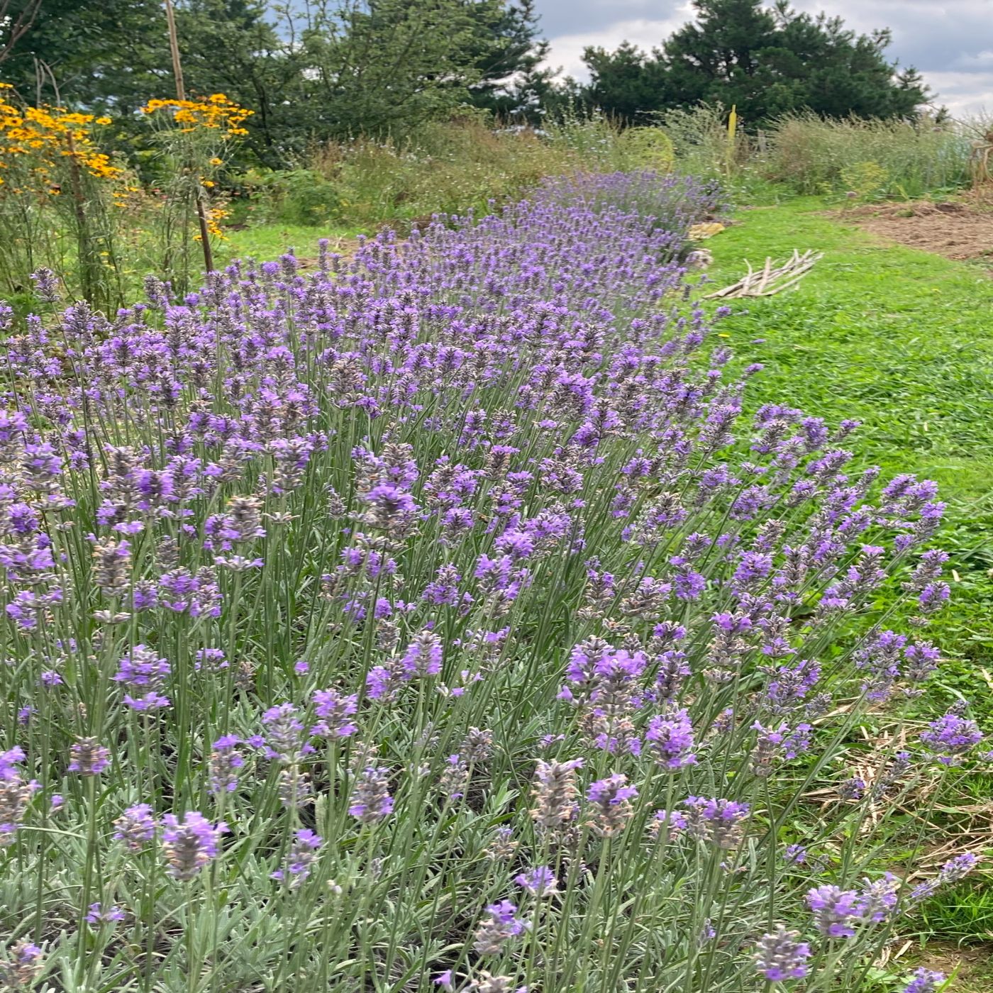 0Km eta Teknologia Zirkularra