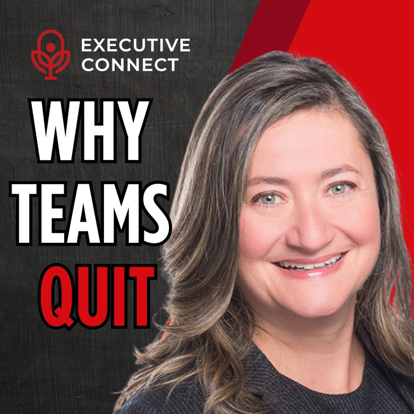 The Executive Connect Podcast