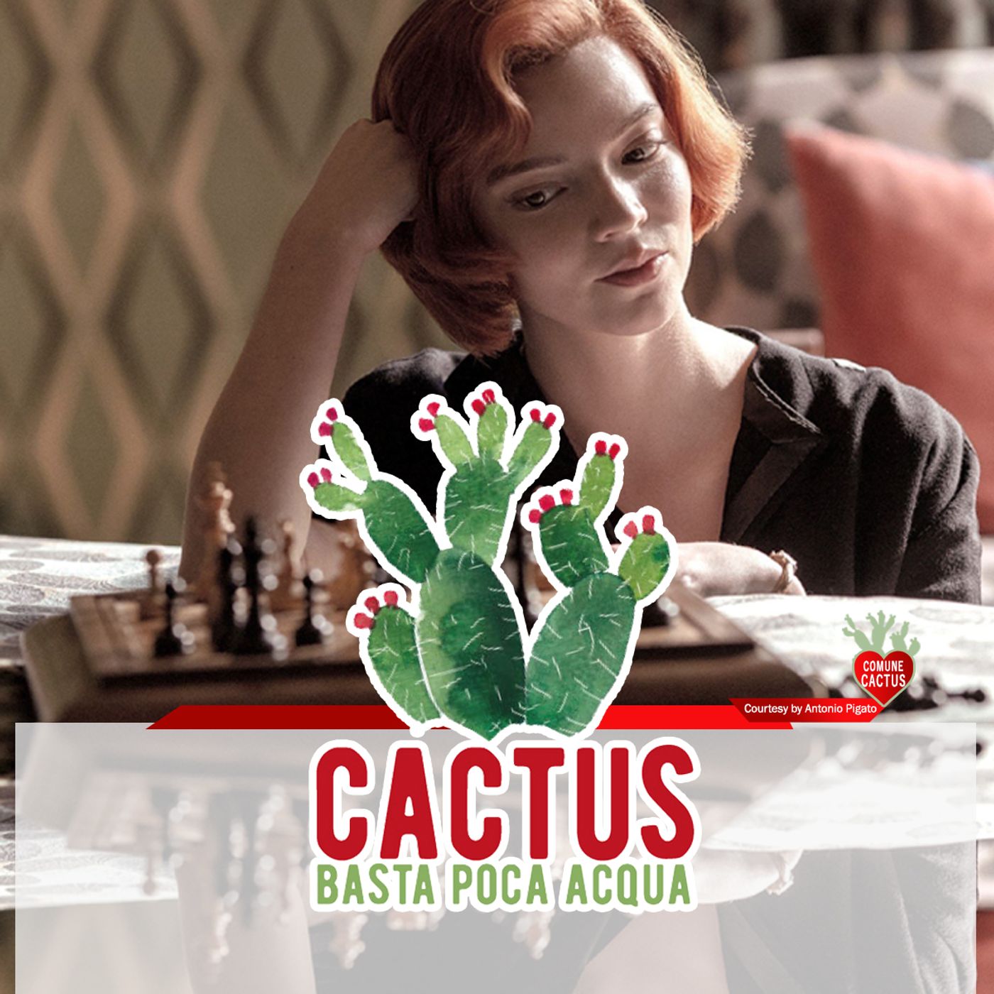 Cactus