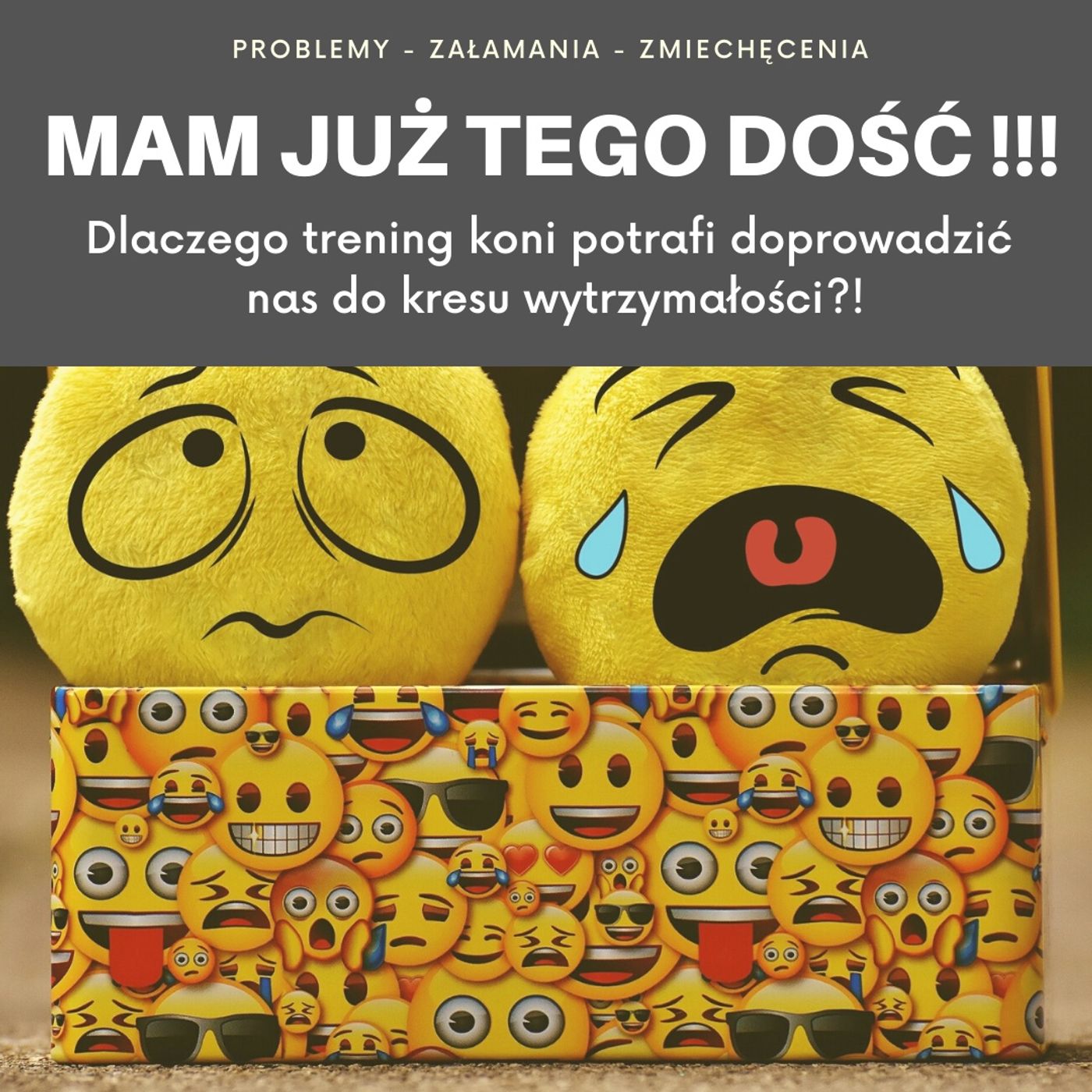 Live 21: Mam już tego dość, czyli nasze jeździeckie dołki episode artwork