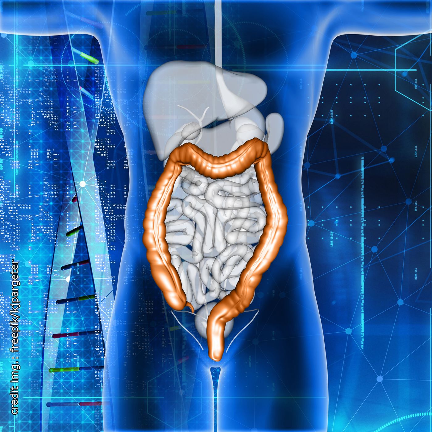 L'alimentazione contro il cancro gastrointestinale