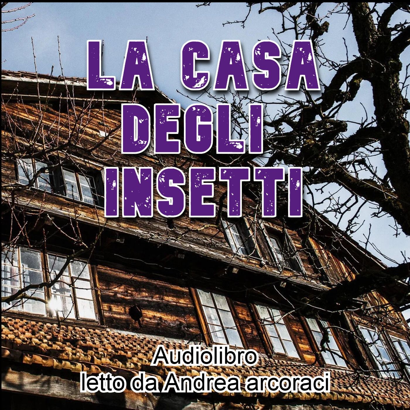 La casa degli insetti