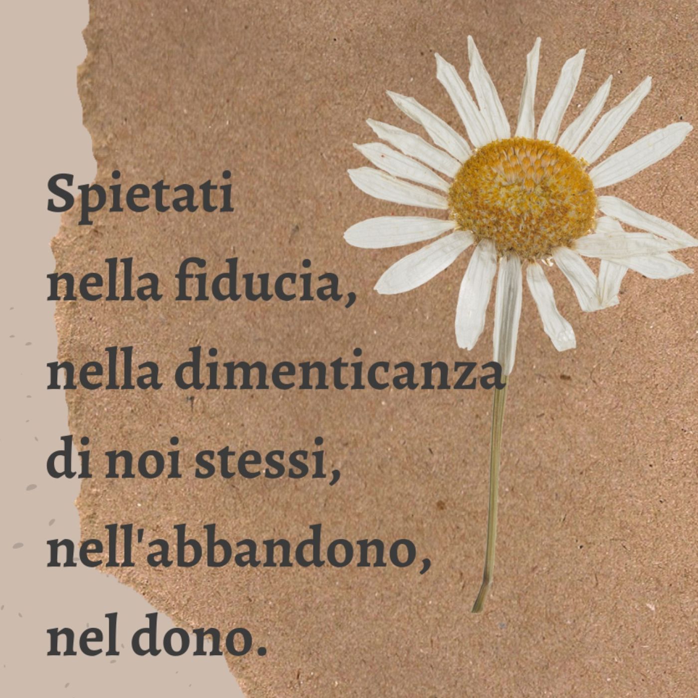 Commenti al Vangelo