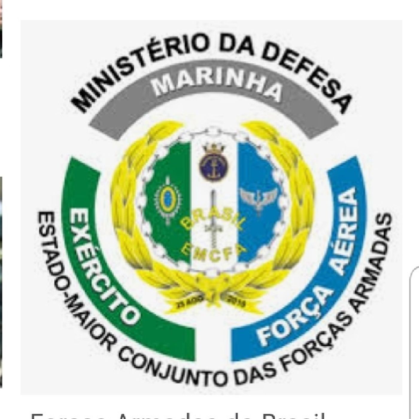 Nosso Direito Constitucional