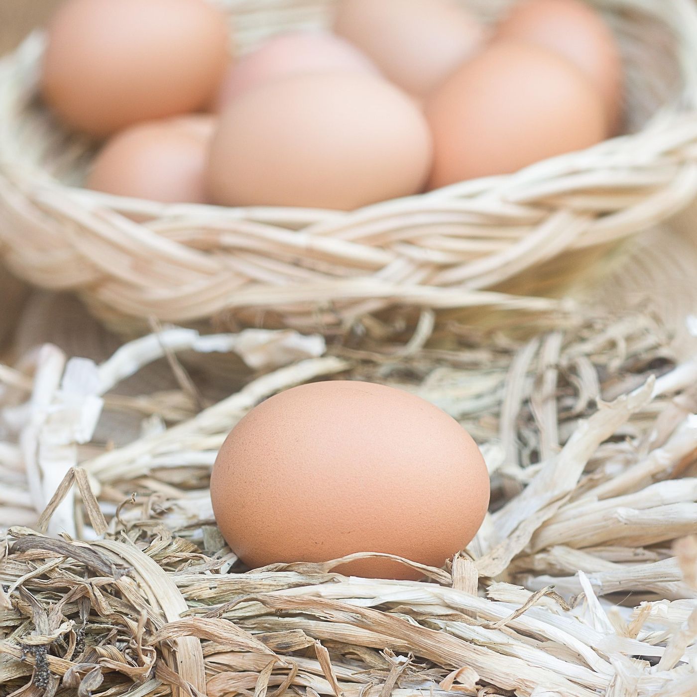 L\'alimentazione by Elisabetta