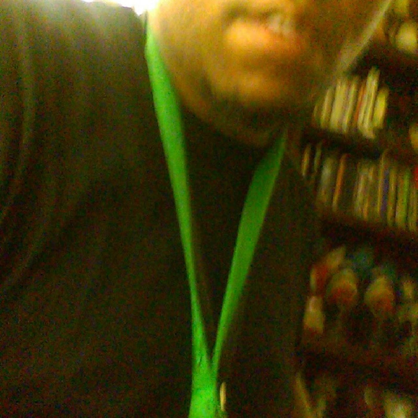 Verrod Chapman\'s show