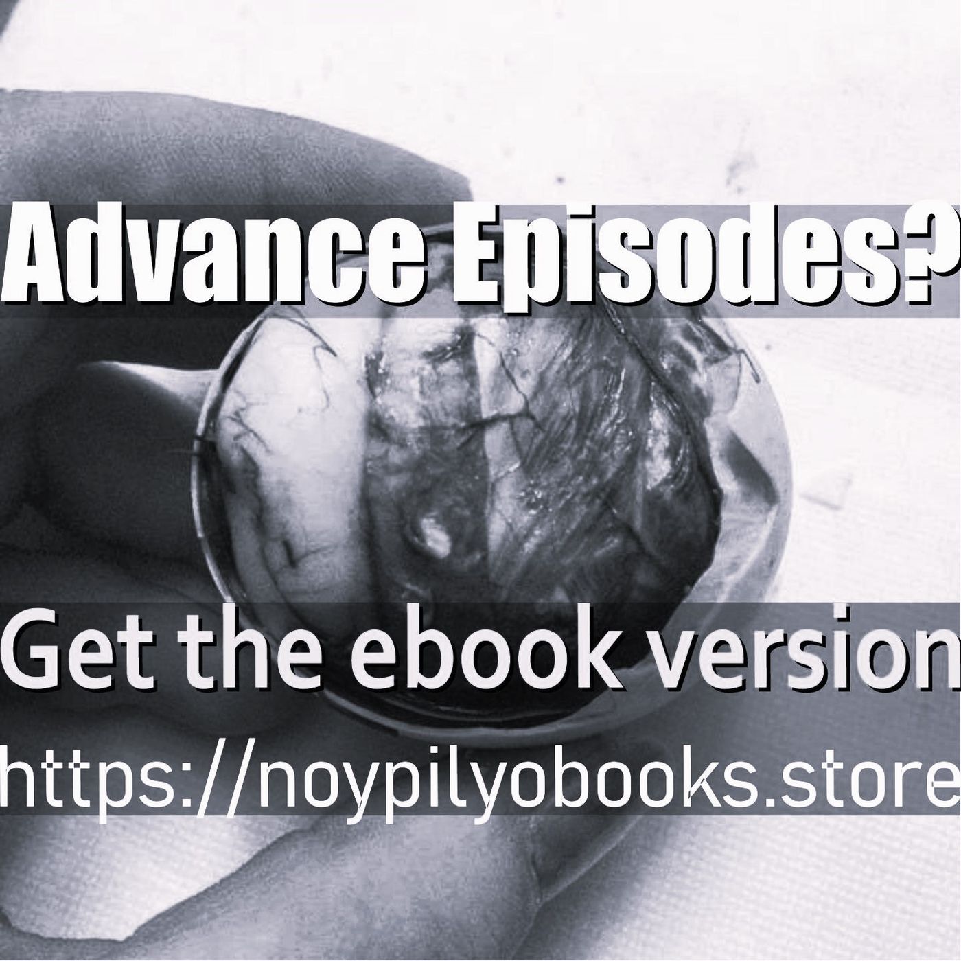NoyPilyo Audio Stories