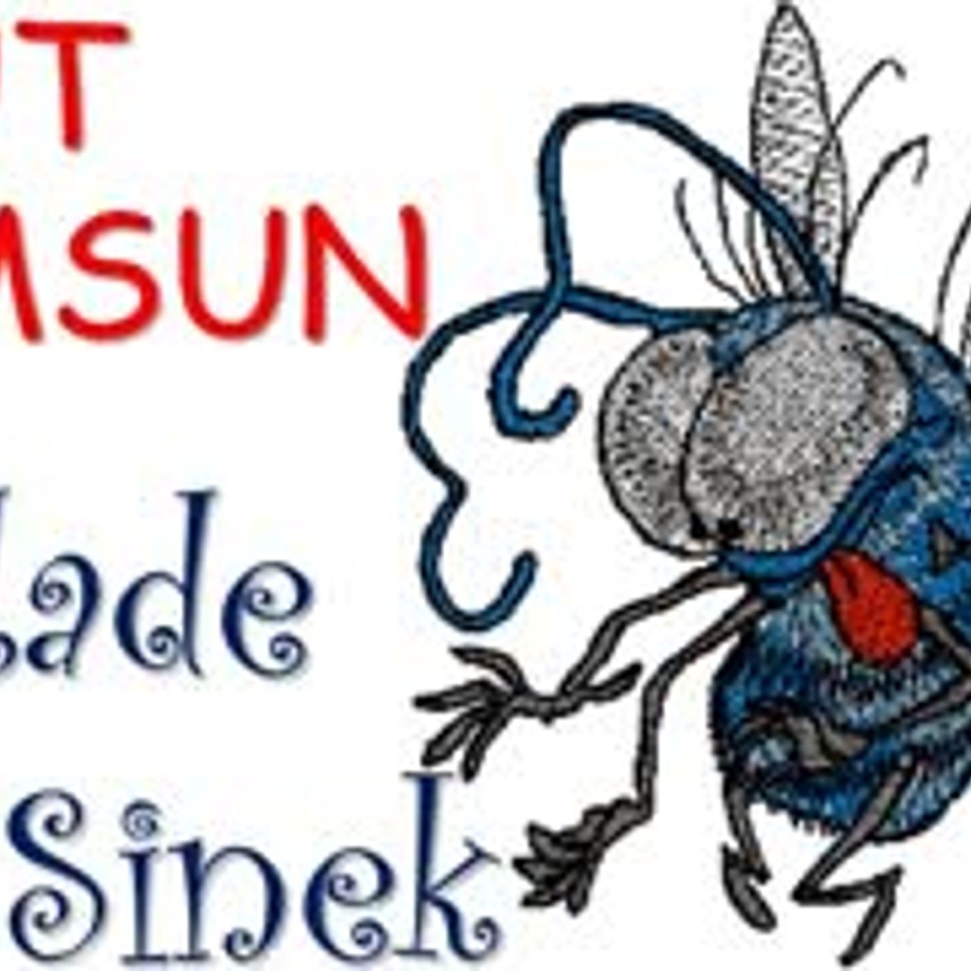 Kitap Okumaları