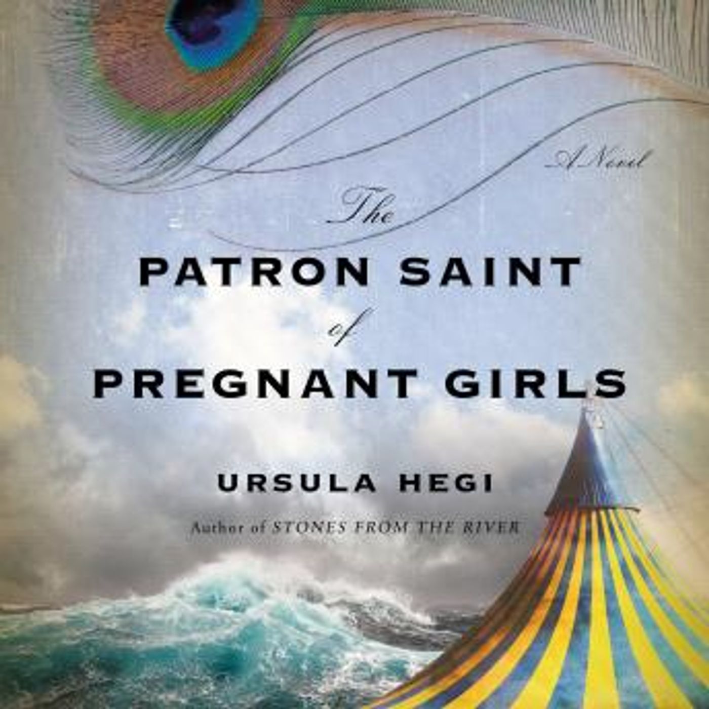 Listen to Top Full Audiobooks in Fiction, Contemporary Women