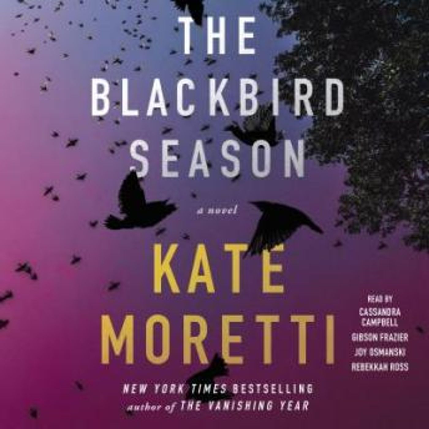 Listen to Best Full Audiobooks in Fiction, Contemporary Women