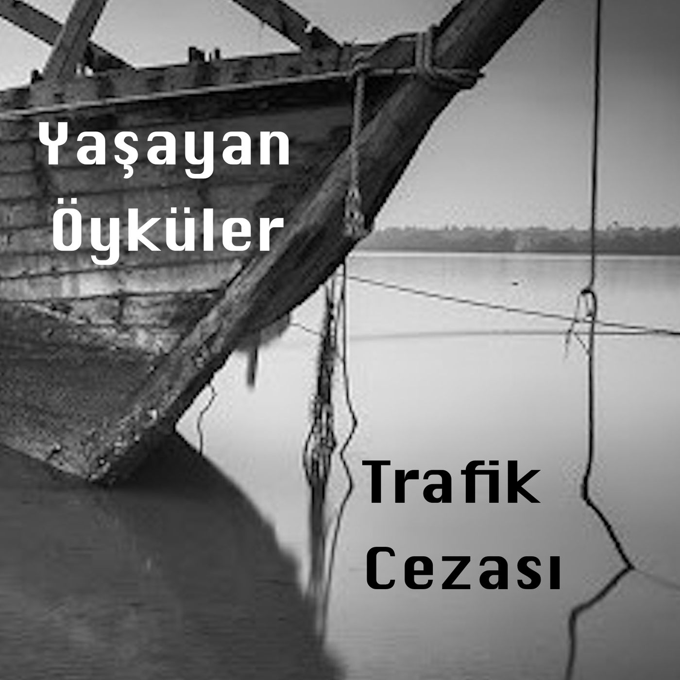 Trafik Cezası