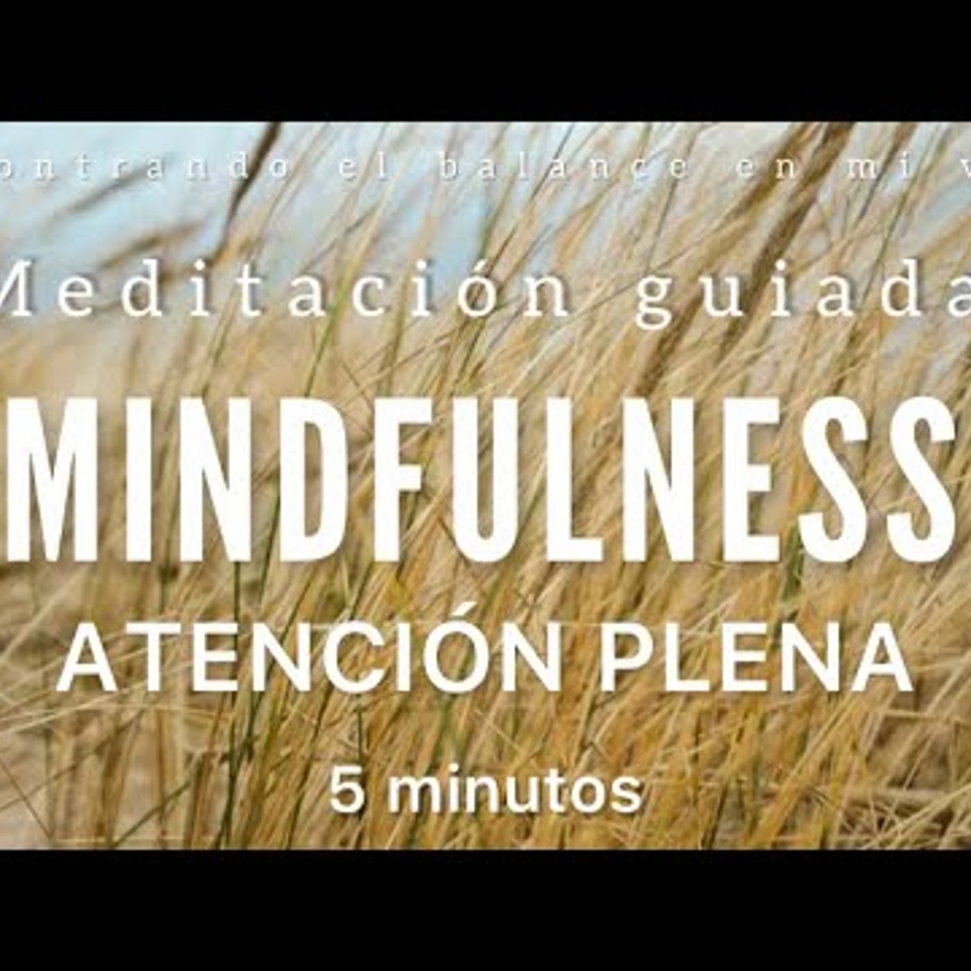54. MINDFULNESS meditación guiada 🙏🏼 - Práctica de 5 minutos