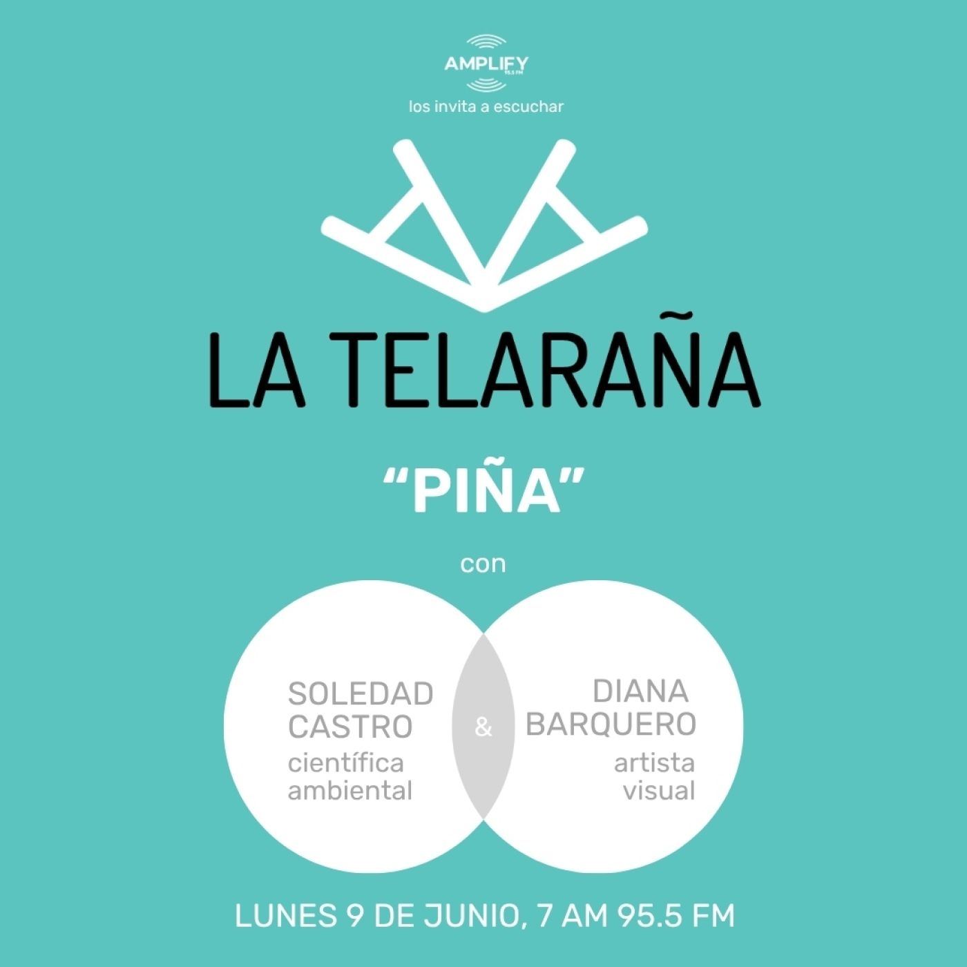 La Telaraña
