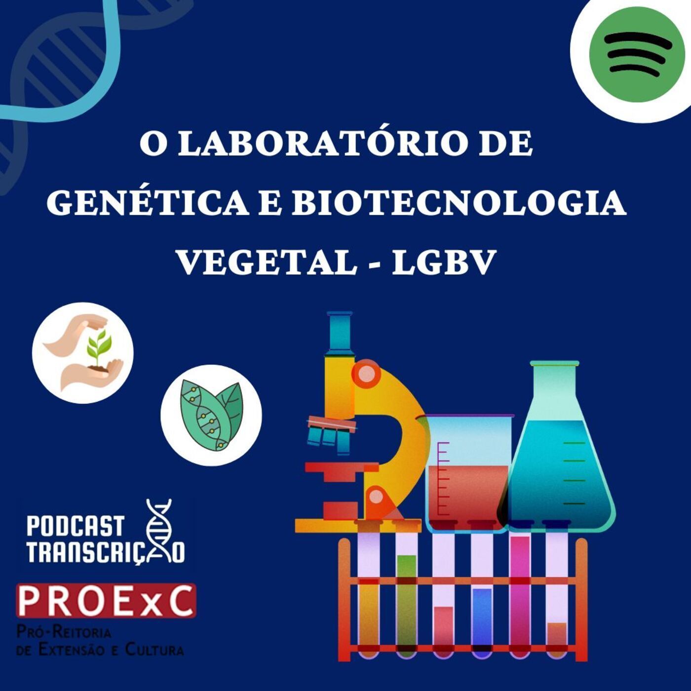 Podcast Transcrição