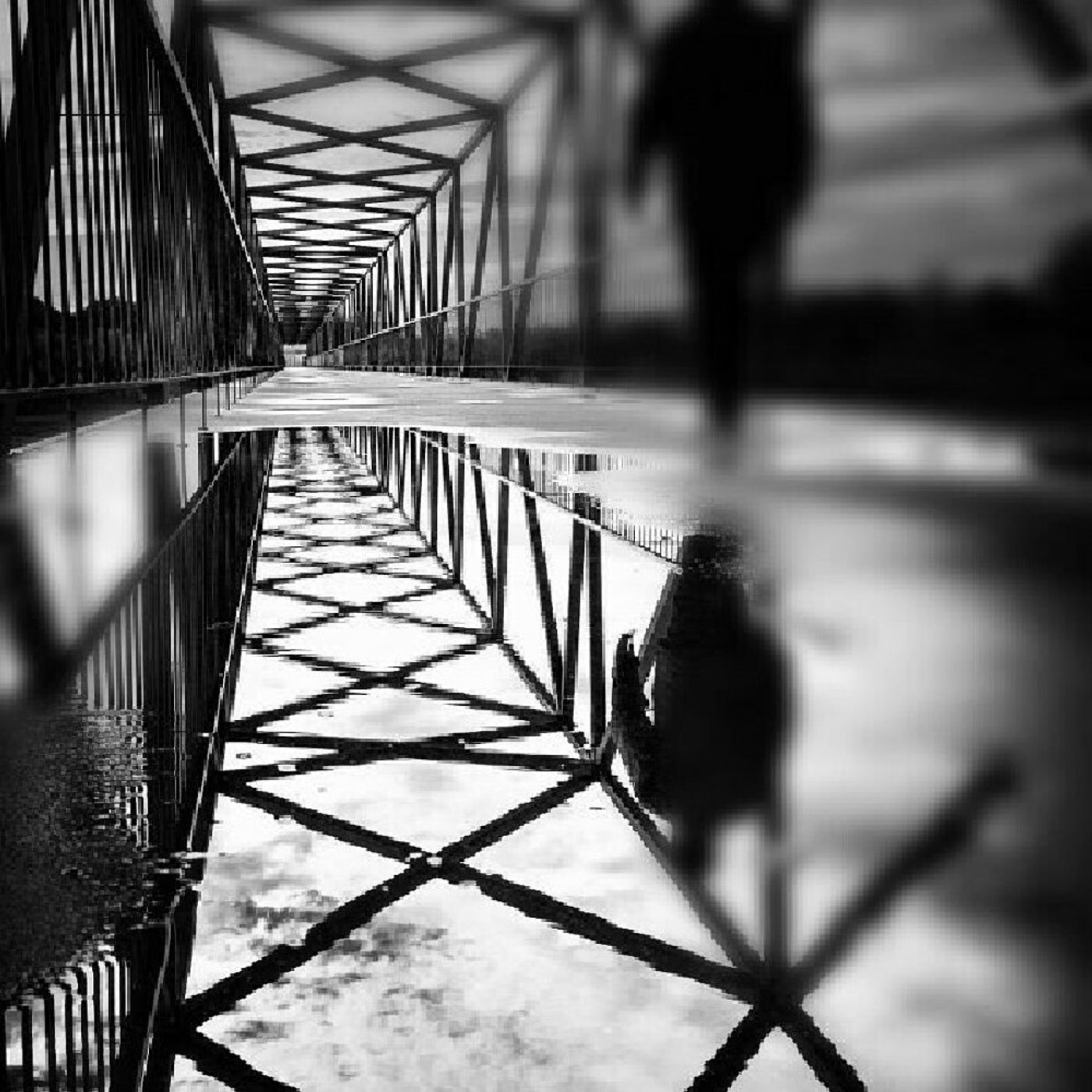 William David Osorio FLorez's tracks