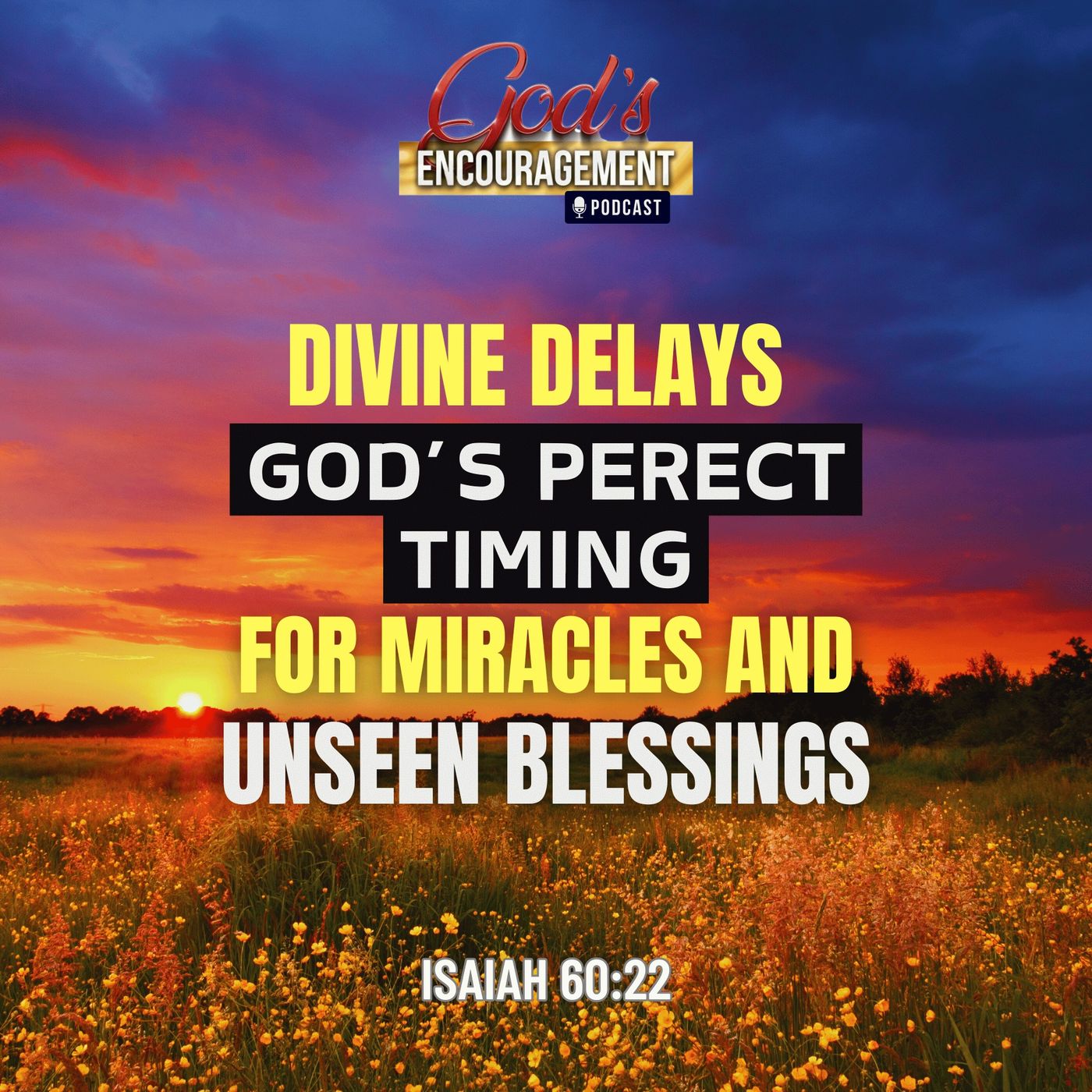 Divine Delays: God's Perfect Timing for Miracles and Unseen Blessings episode artwork