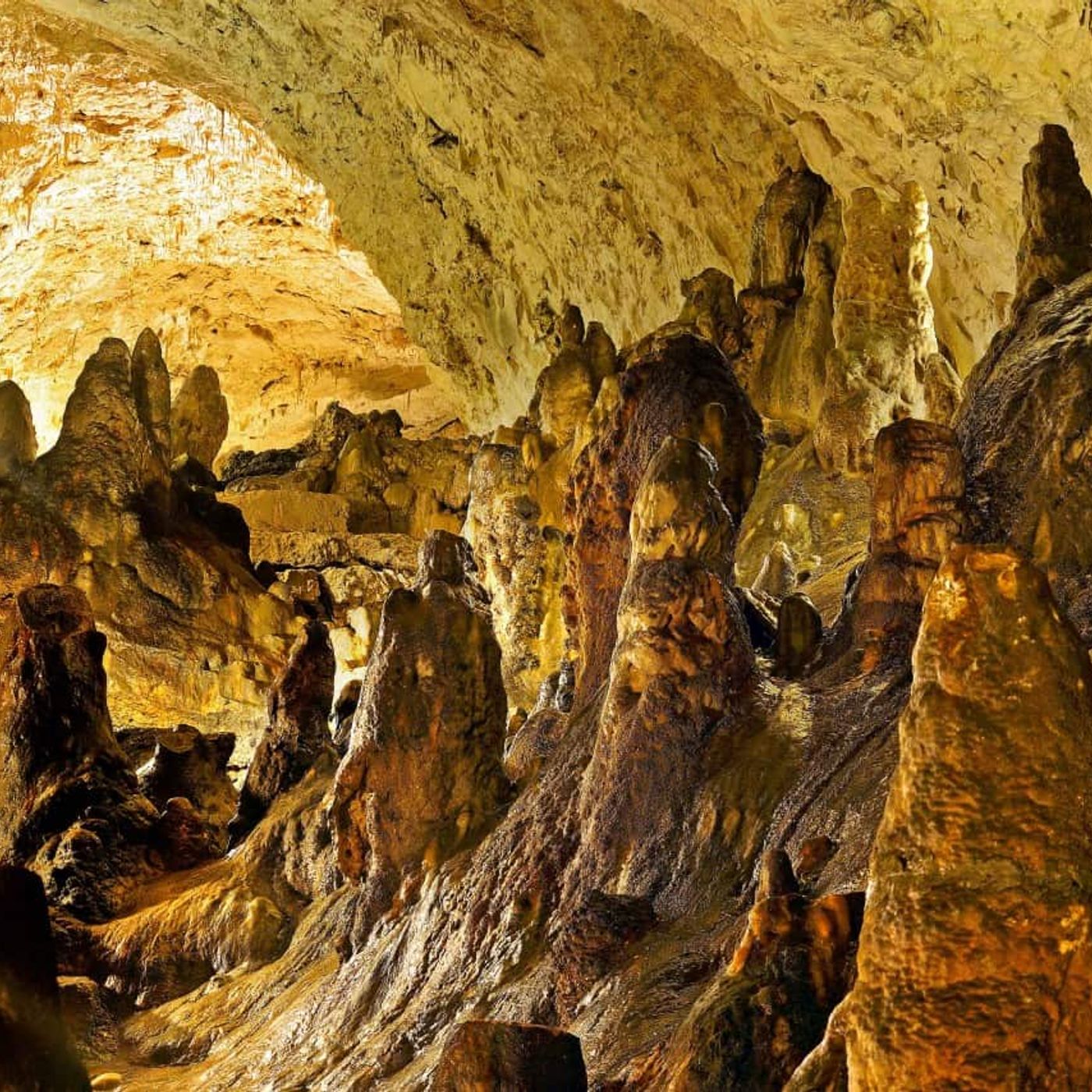 Le fate nella Grotta del Cavallone e i bambini scomparsi episode artwork