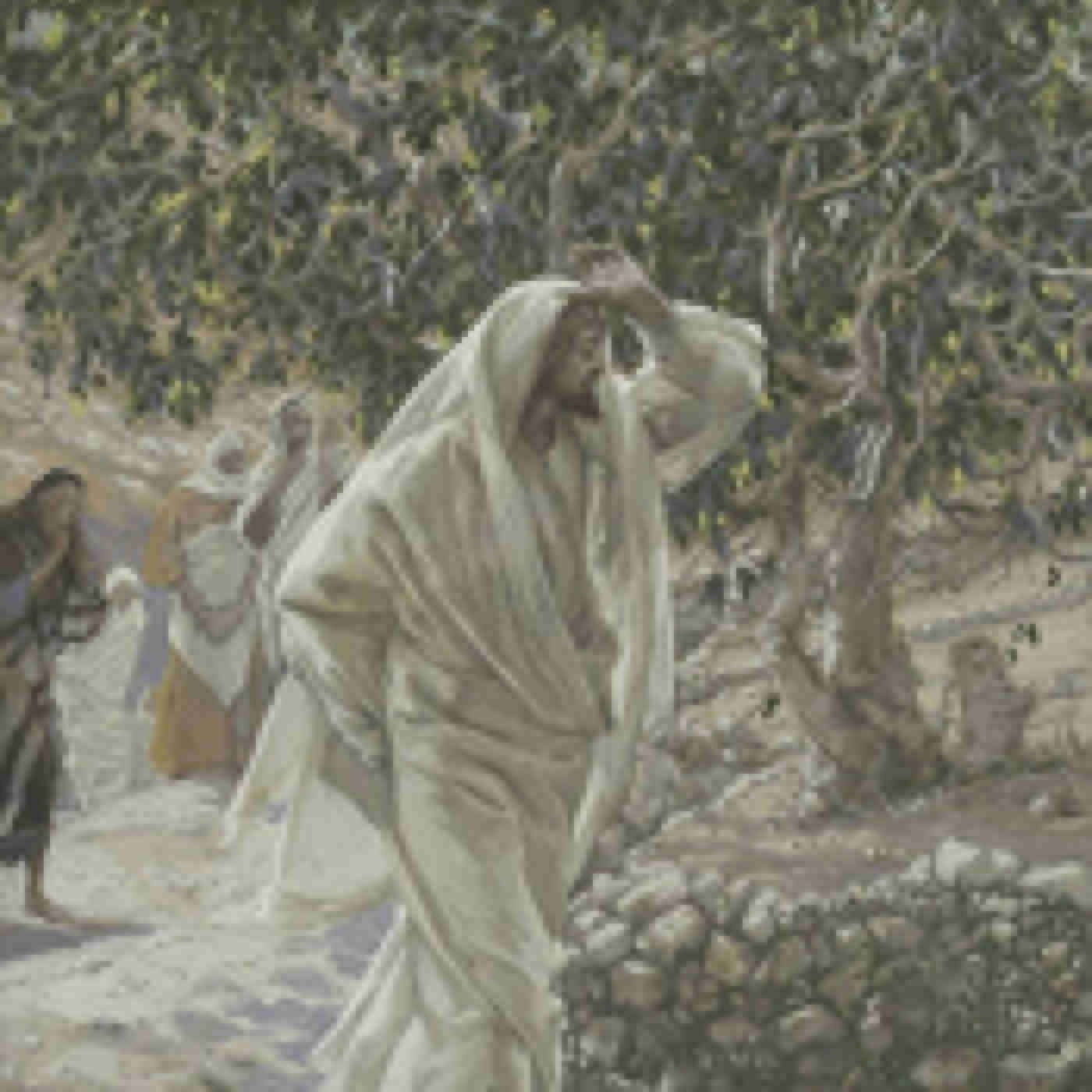 Friday of the Eighth Week in Ordinary Time - Barren Spirituality or Fruitfulness episode artwork