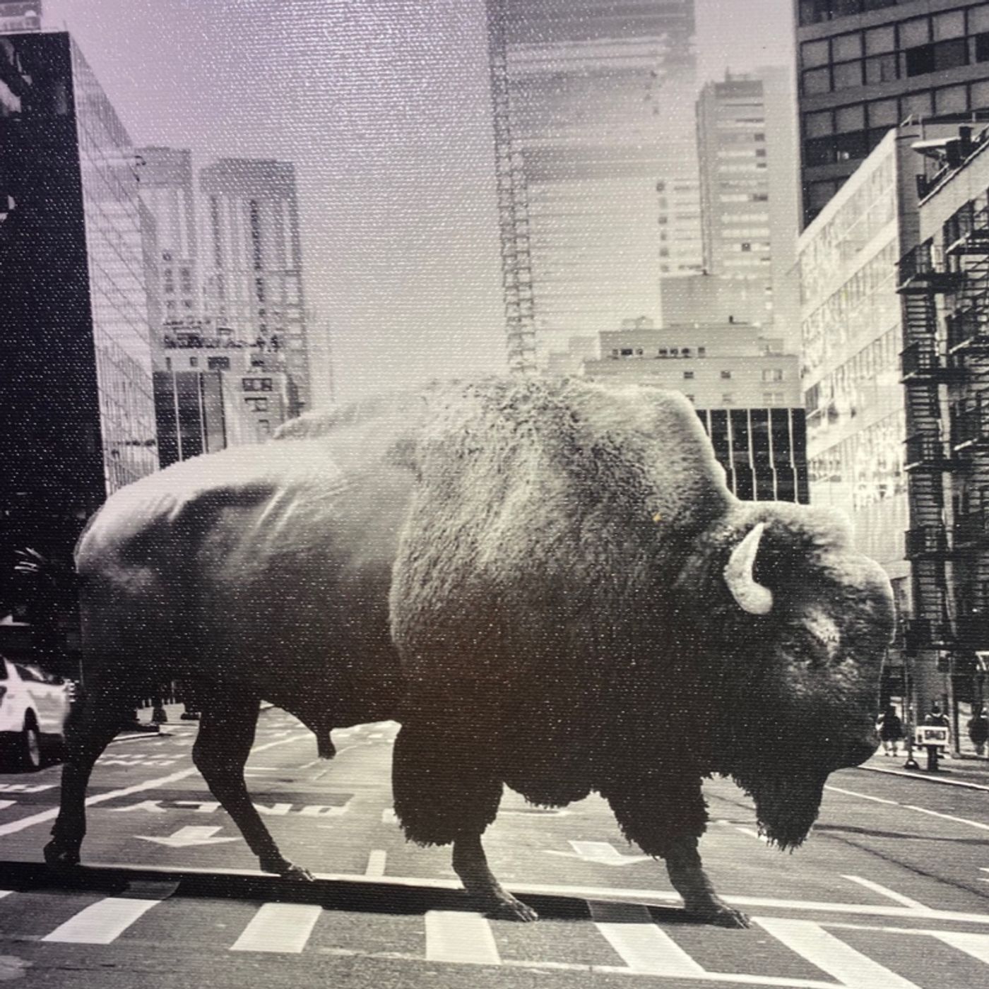 Cave Man in Suburbia -  Real Raw Life and Truth in Nature Free-Range Manliness