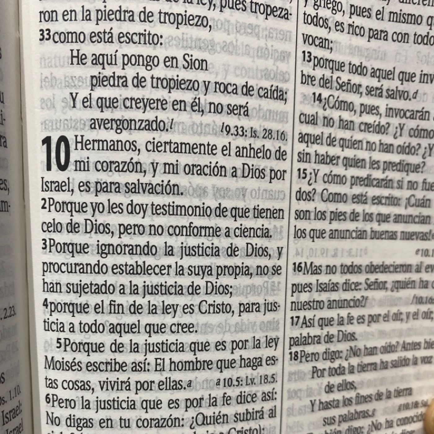 Romanos Capítulo 10 episode artwork