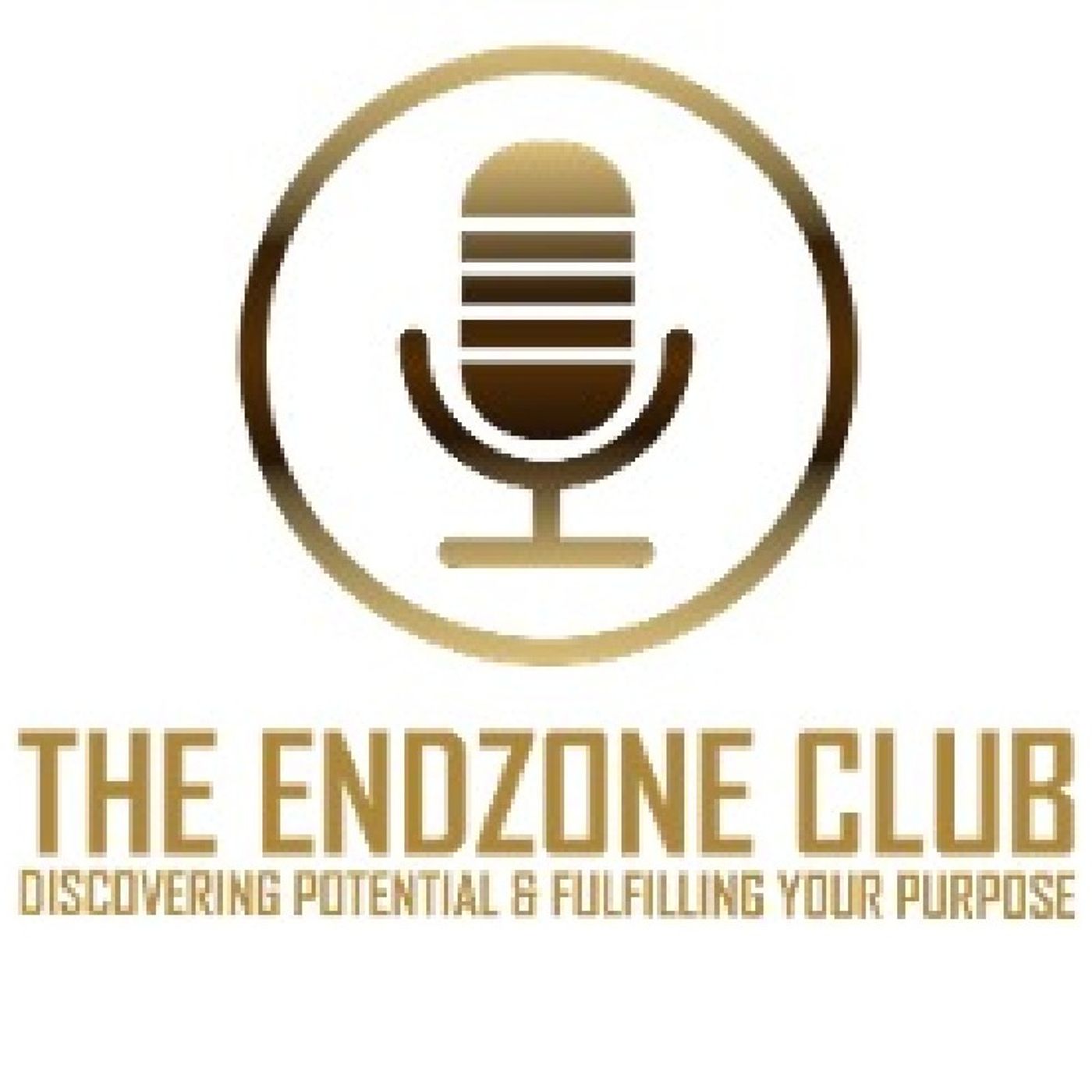 Happy New Year from The Endzone Club.mp3 episode artwork