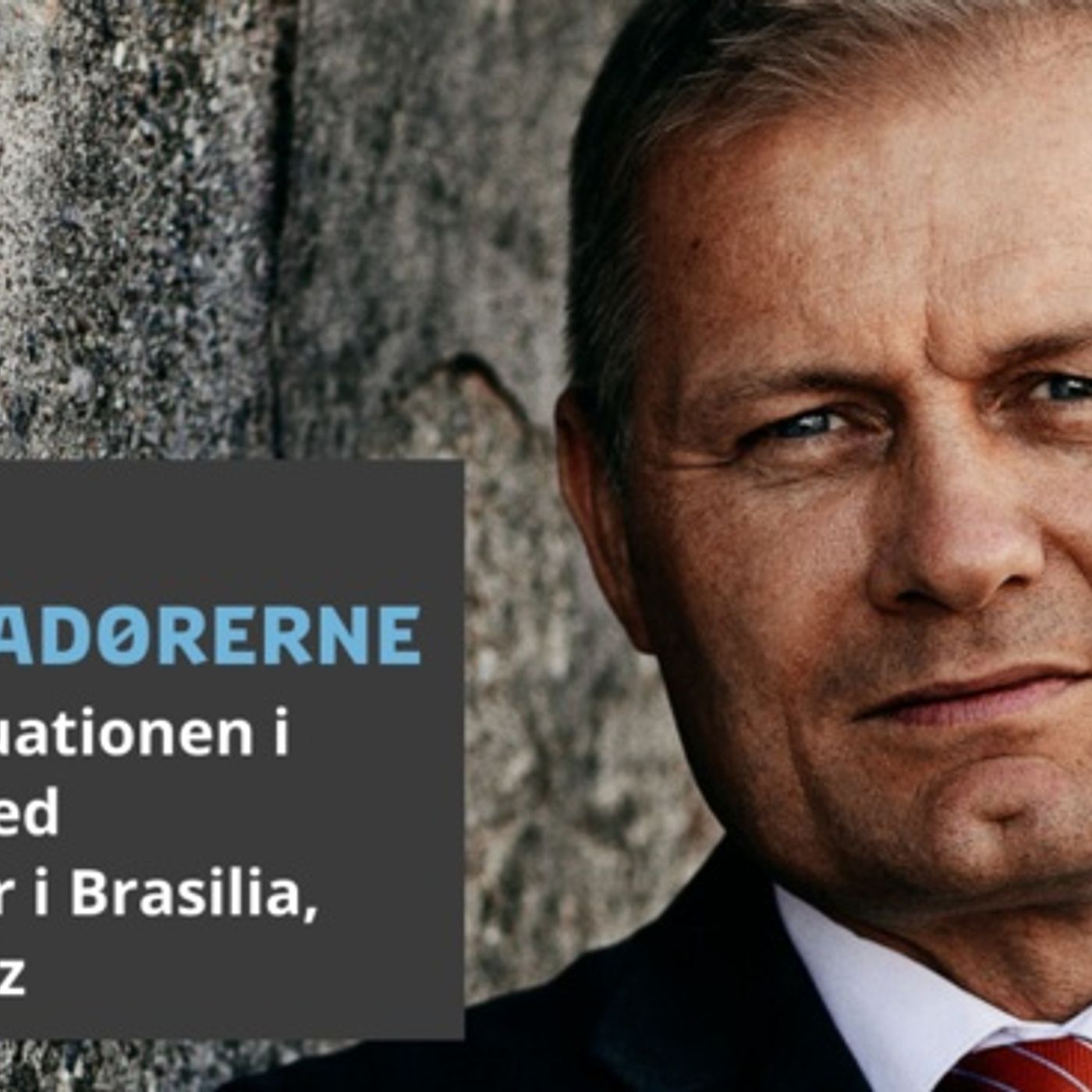 Ambassadørerne