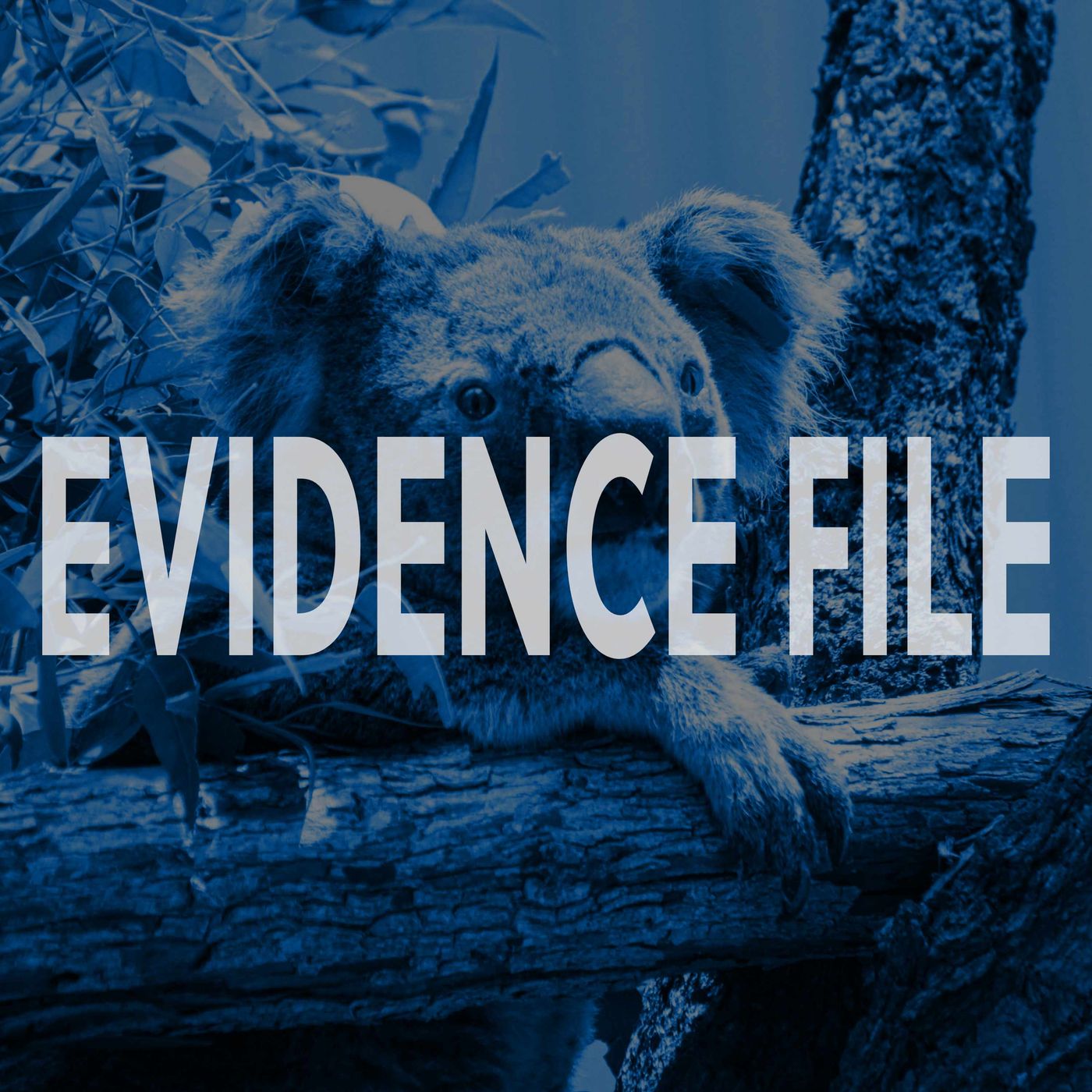 Evidence File