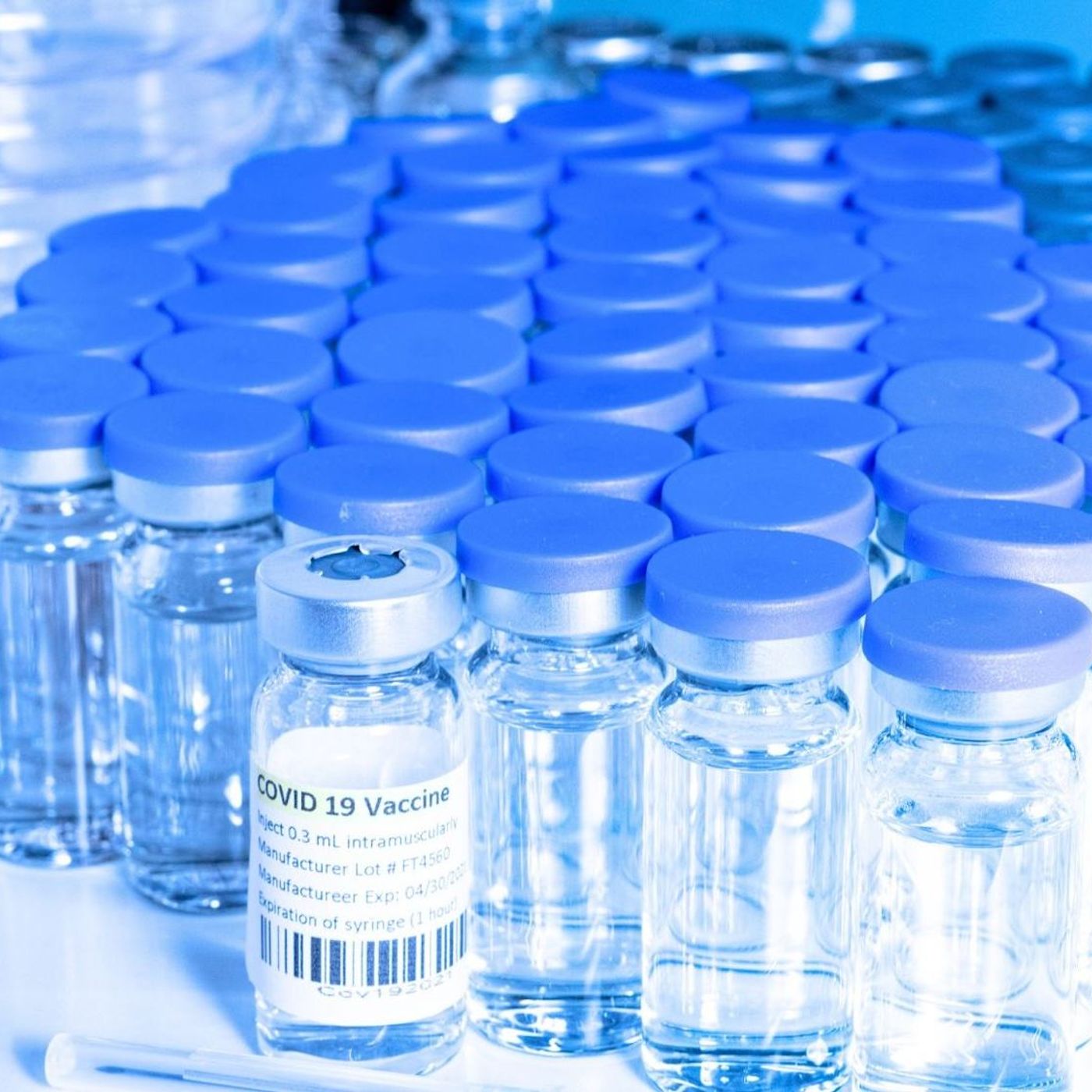 Moçambique para os Palop: A ponte linguística rumo à excelência regulatória da OMS
