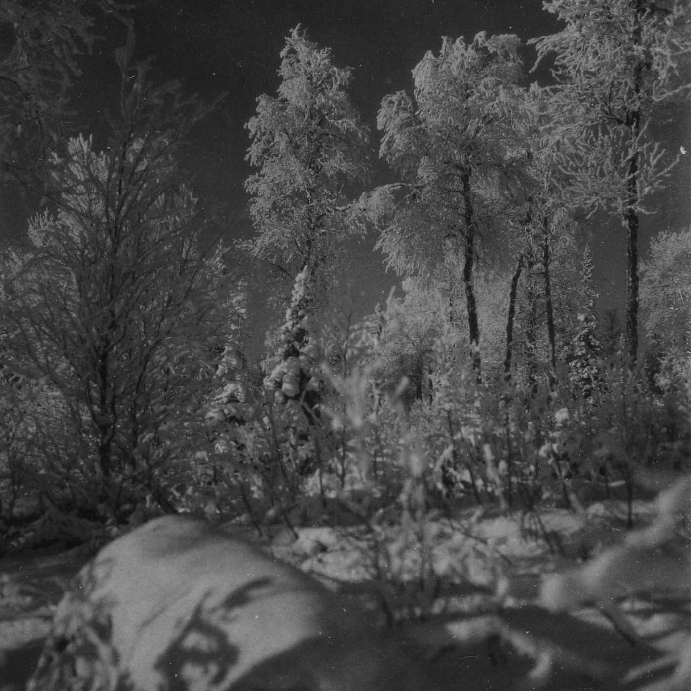 Det förvunna Lammkulla