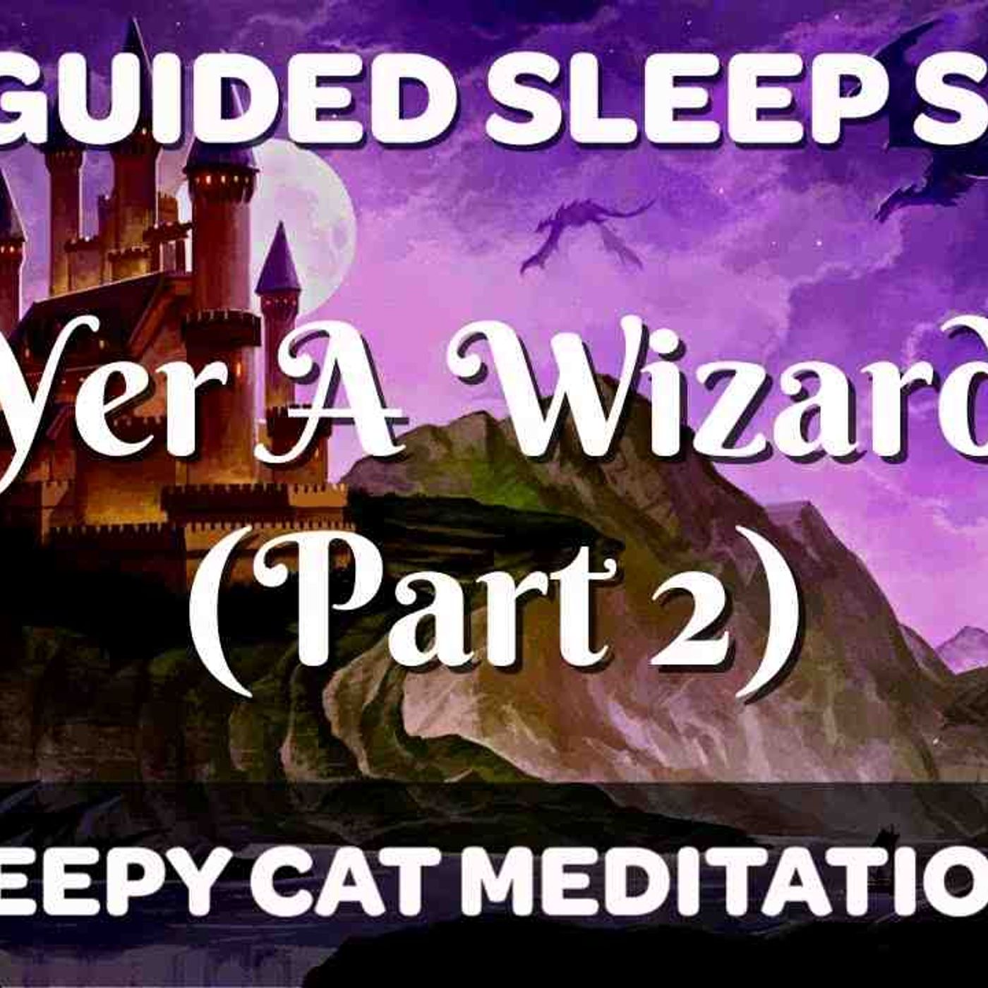 The Journey to Hogwarts - _Yer A Wizard_ (Part 2_4) Harry Potter Inspired Sleep Story Meditation episode artwork