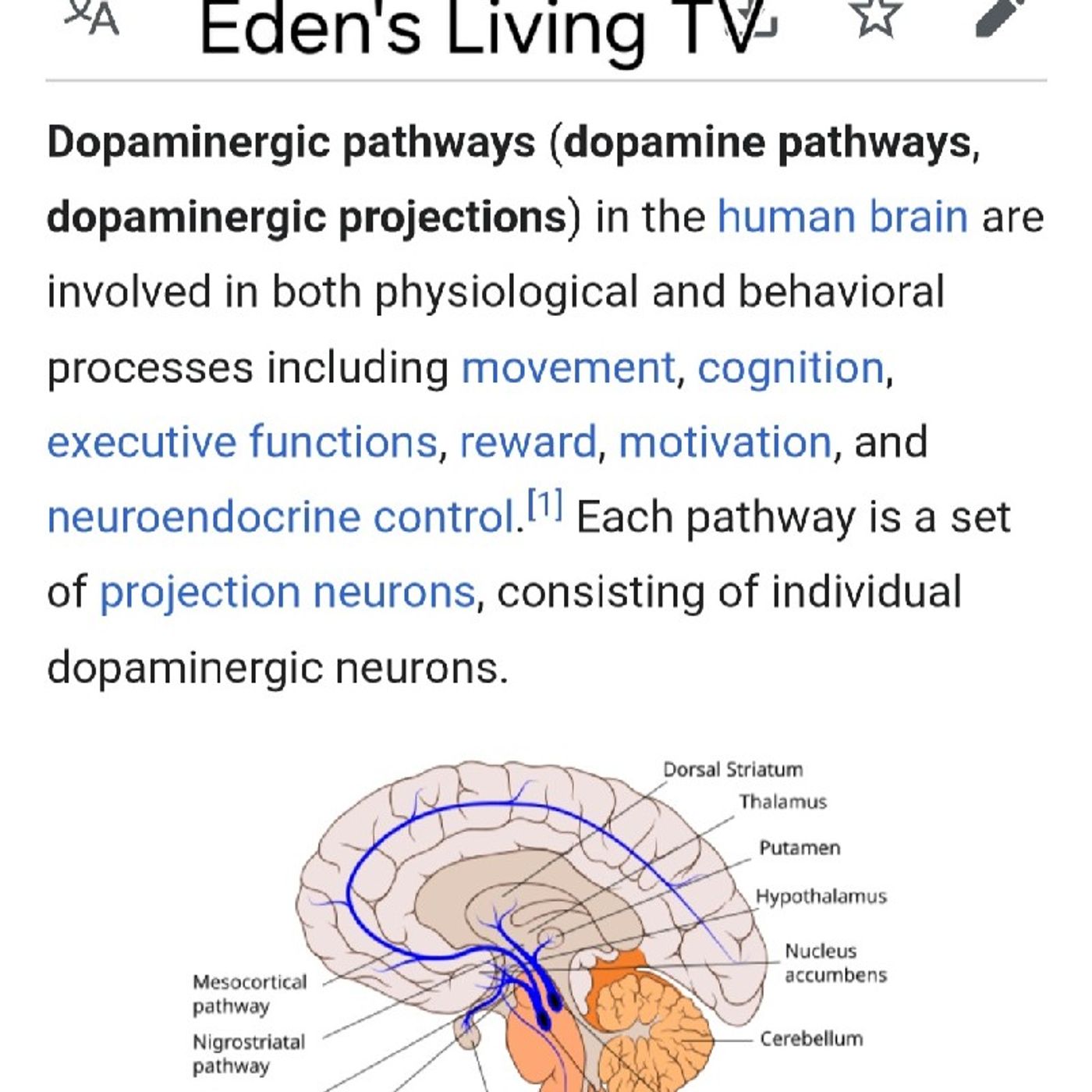 Eden\'s Living TV~podcasts