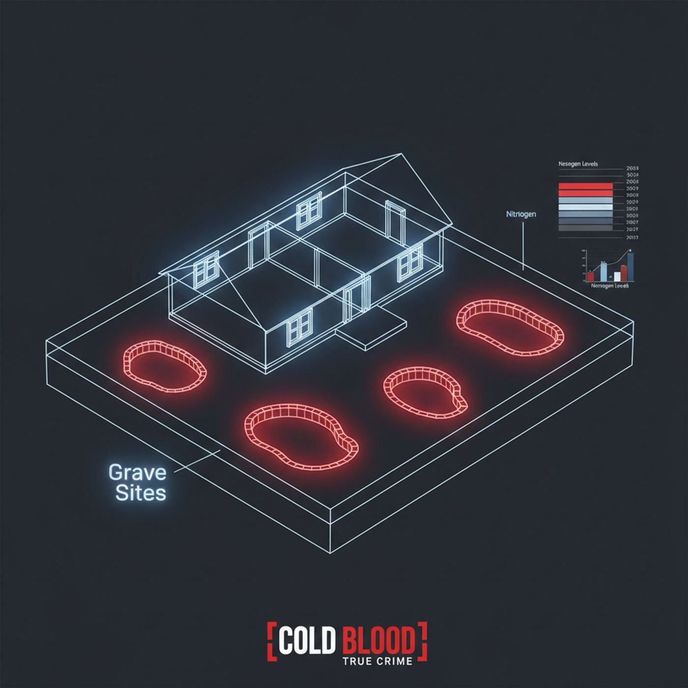 The Soweto Backyard Graves episode artwork