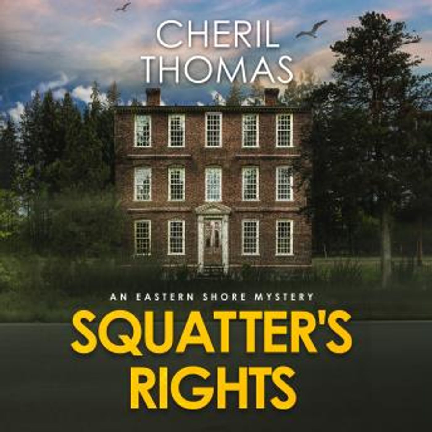 Squatter's Rights by Cheril Thomas episode artwork